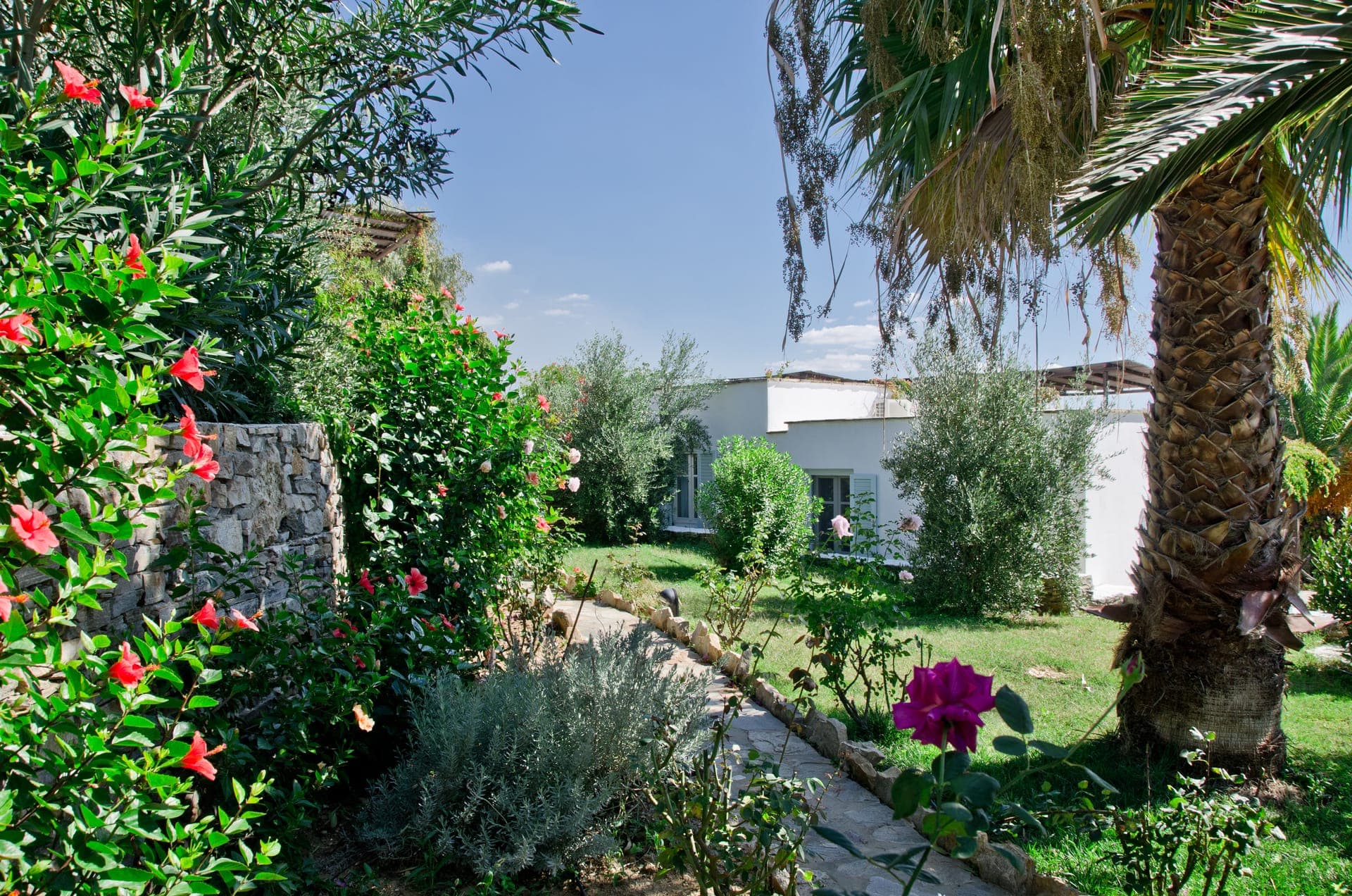 Kavos Naxos has a beautiful Mediterranean garden