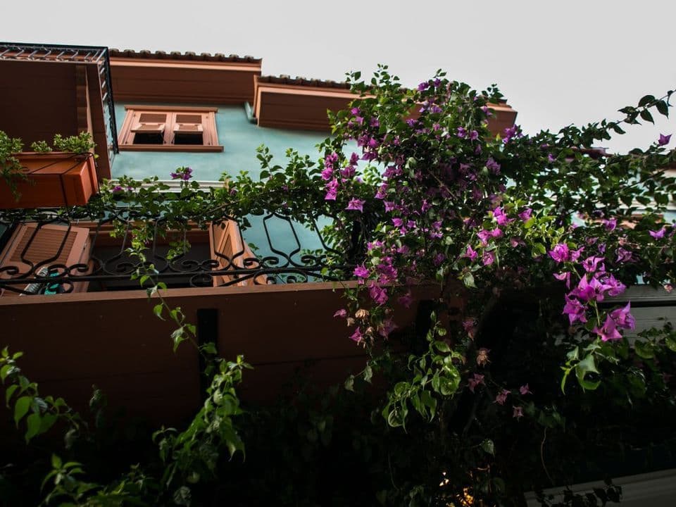 properties-KYVELISUI-4.jpg