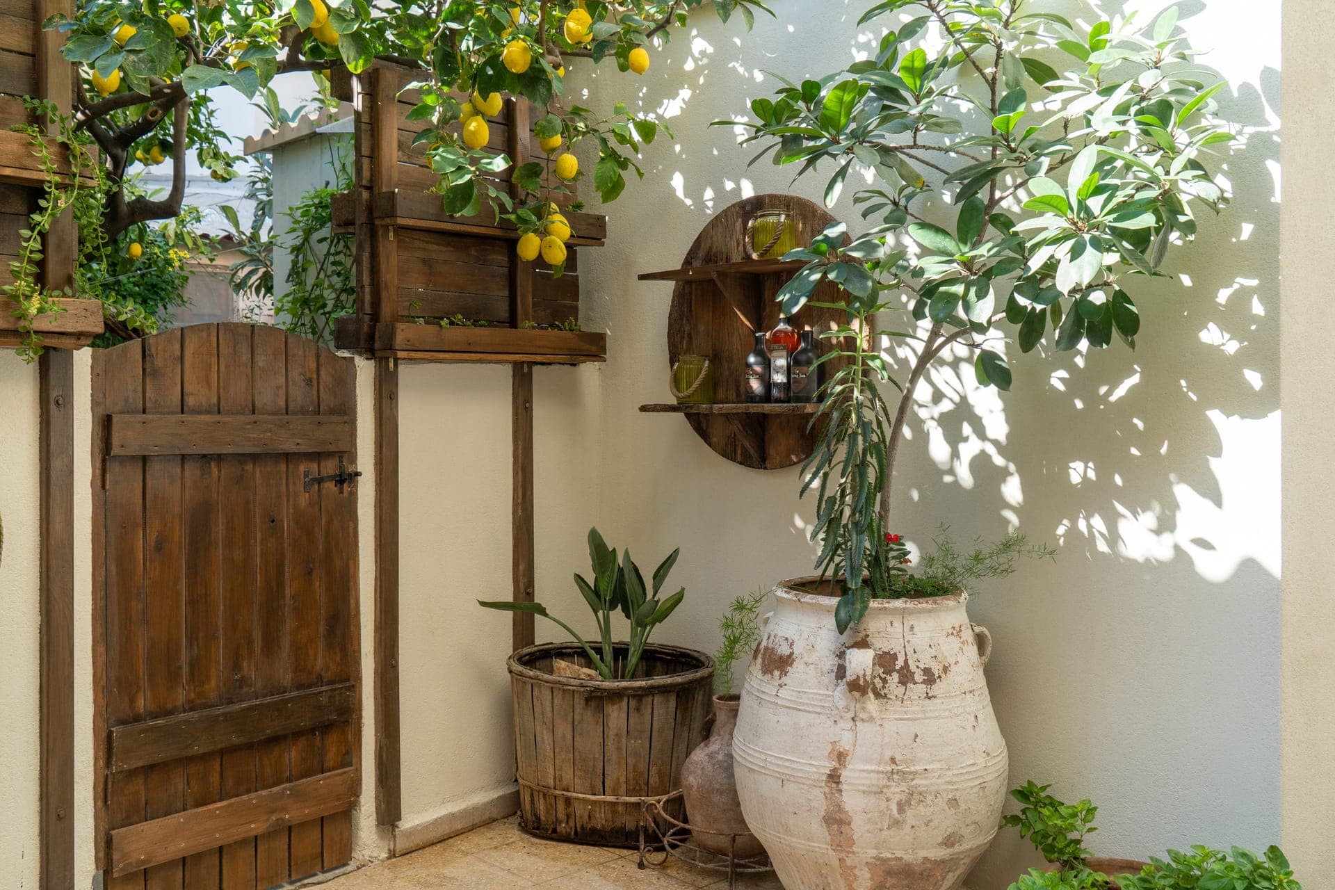 properties-LEMONGARDN-4.jpg