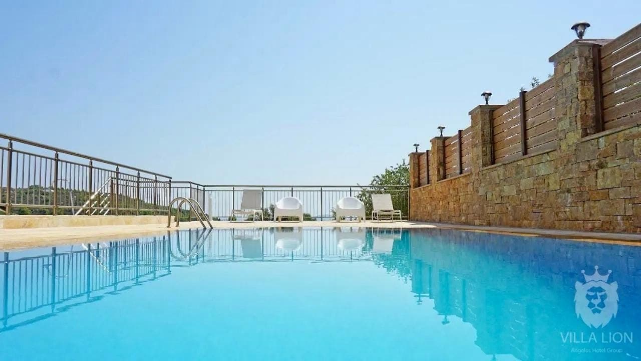 properties-LIONVILLA-3.jpg