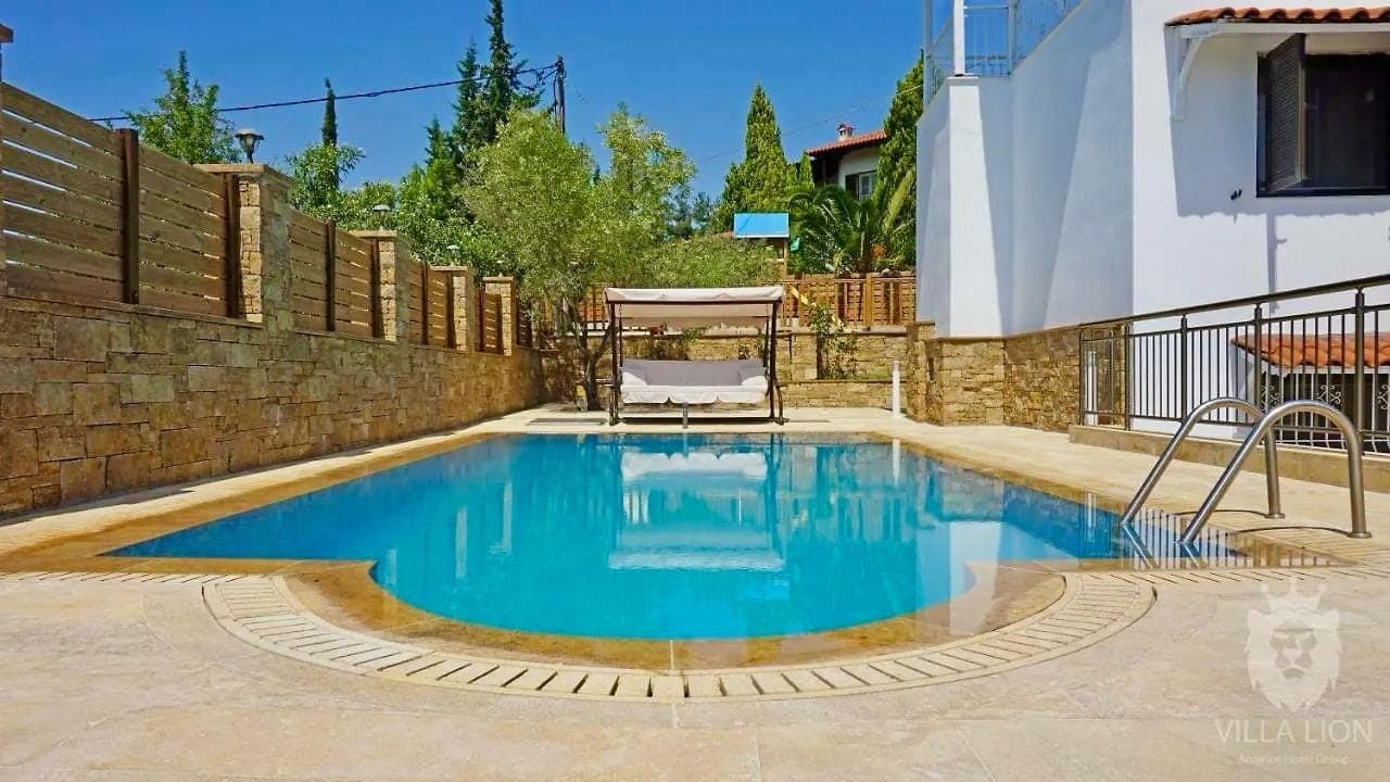 properties-LIONVILLA-4.jpg