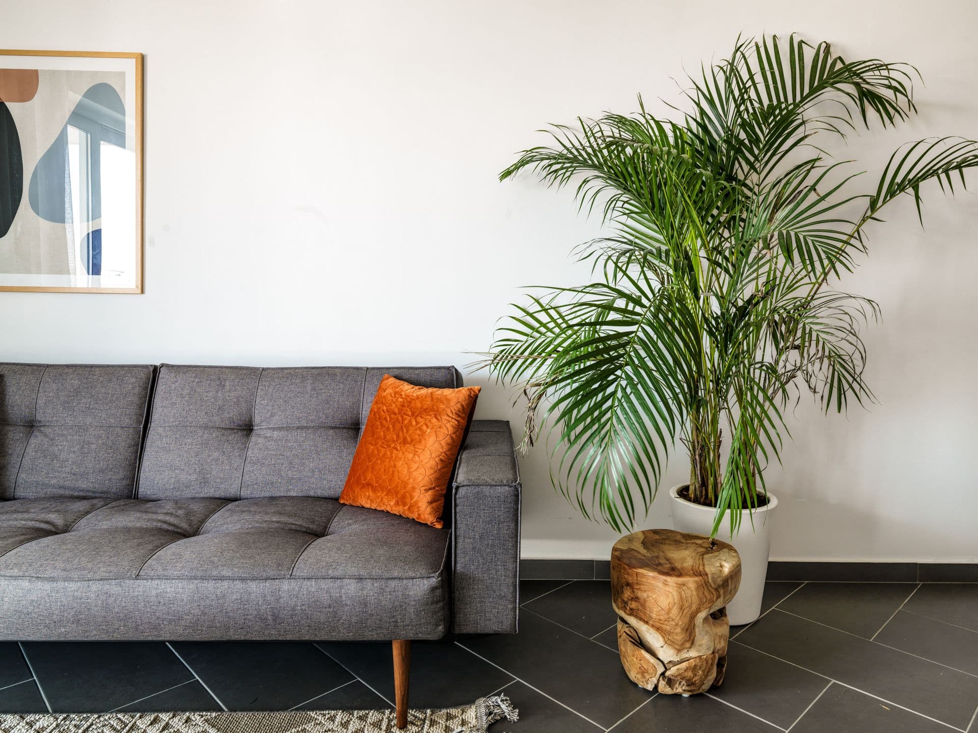 properties-LIVCOLLECT-0.jpg