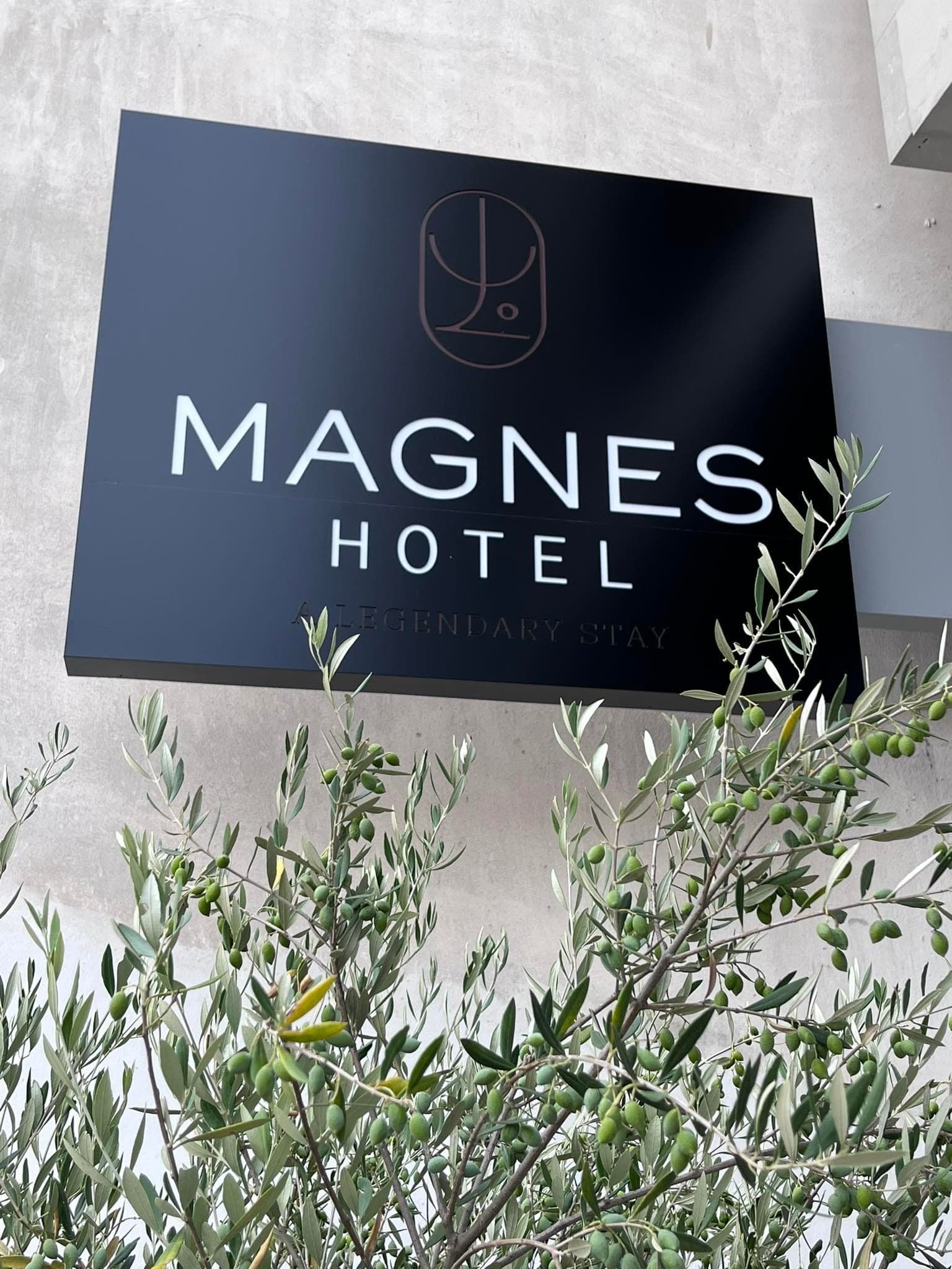 properties-MAGNES-3.jpg