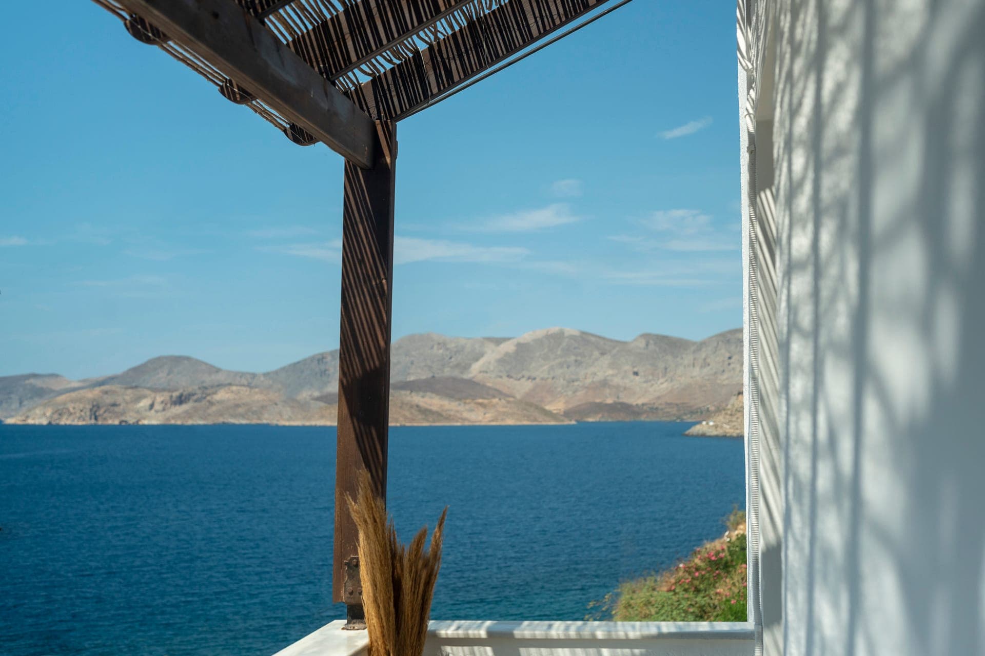properties-MANIFESTO2-2.jpg