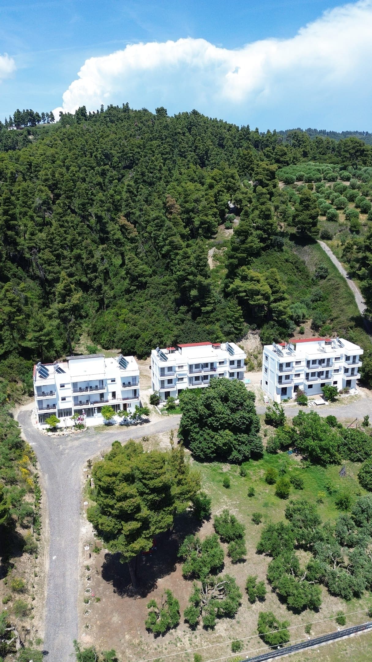 properties-METHEASEAV-1.jpg