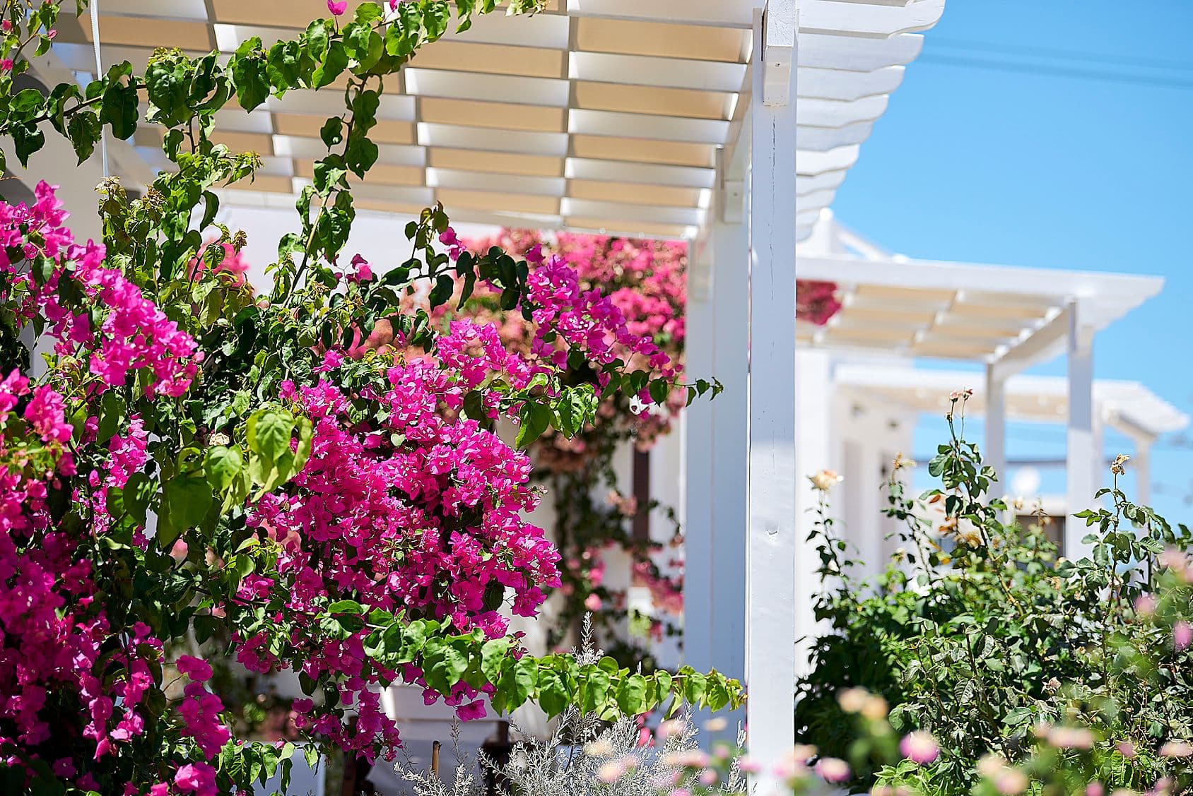 properties-MIRABELIAP-3.jpg