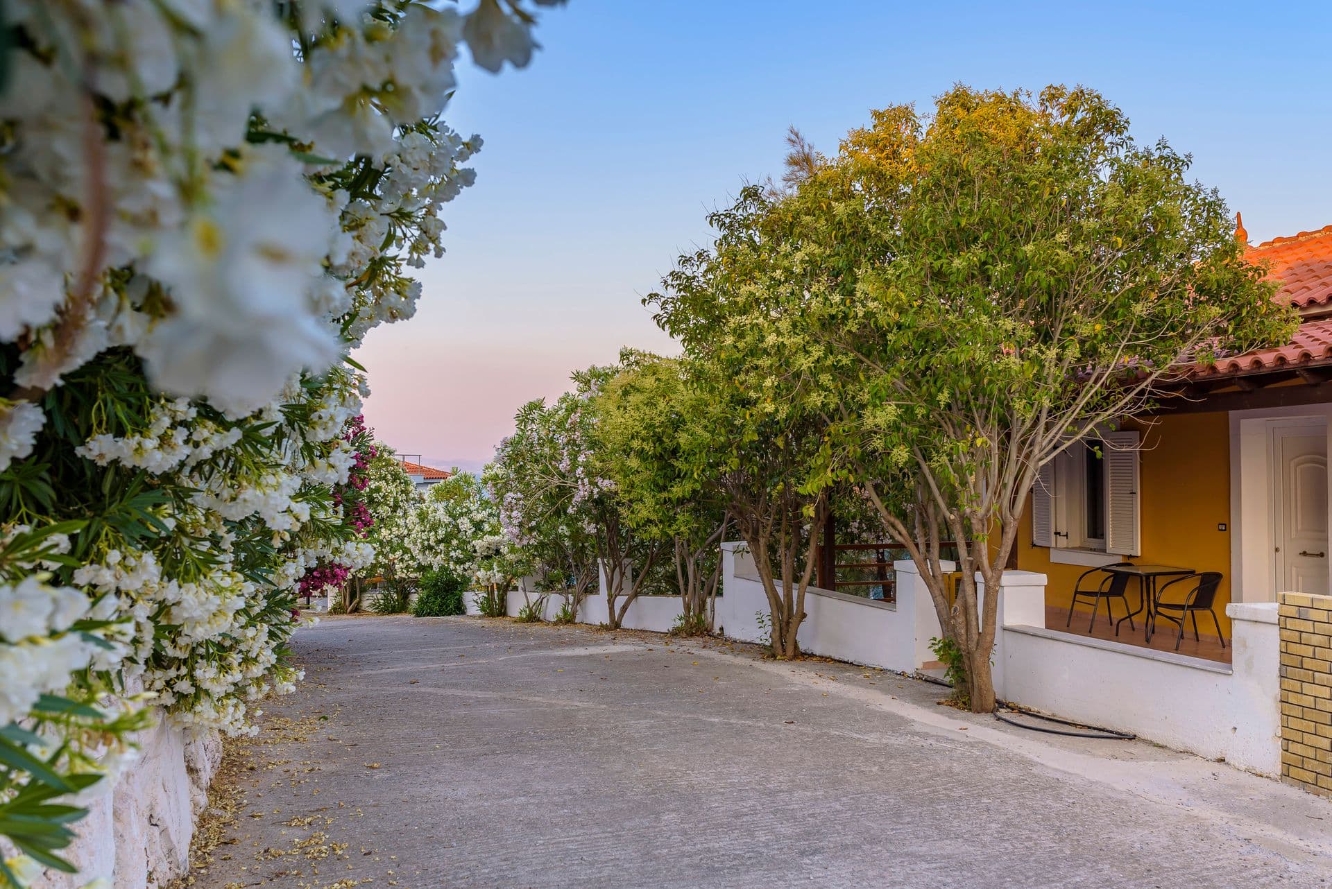 properties-MOUZAKISVI-2.jpg