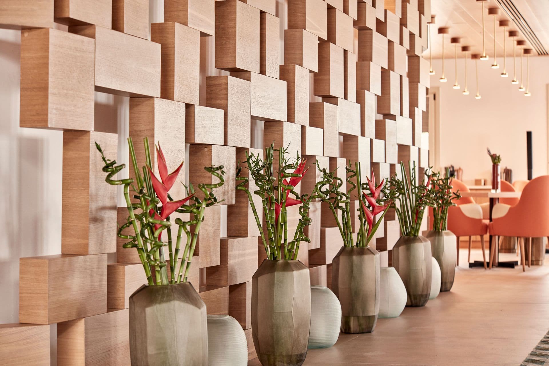 properties-MYCNAIA-2.jpg