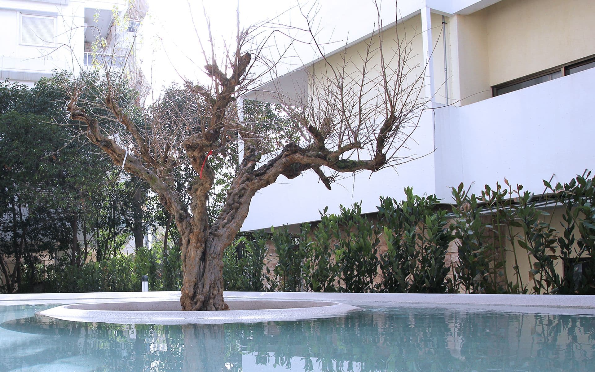 properties-OGARDEN-1.jpg