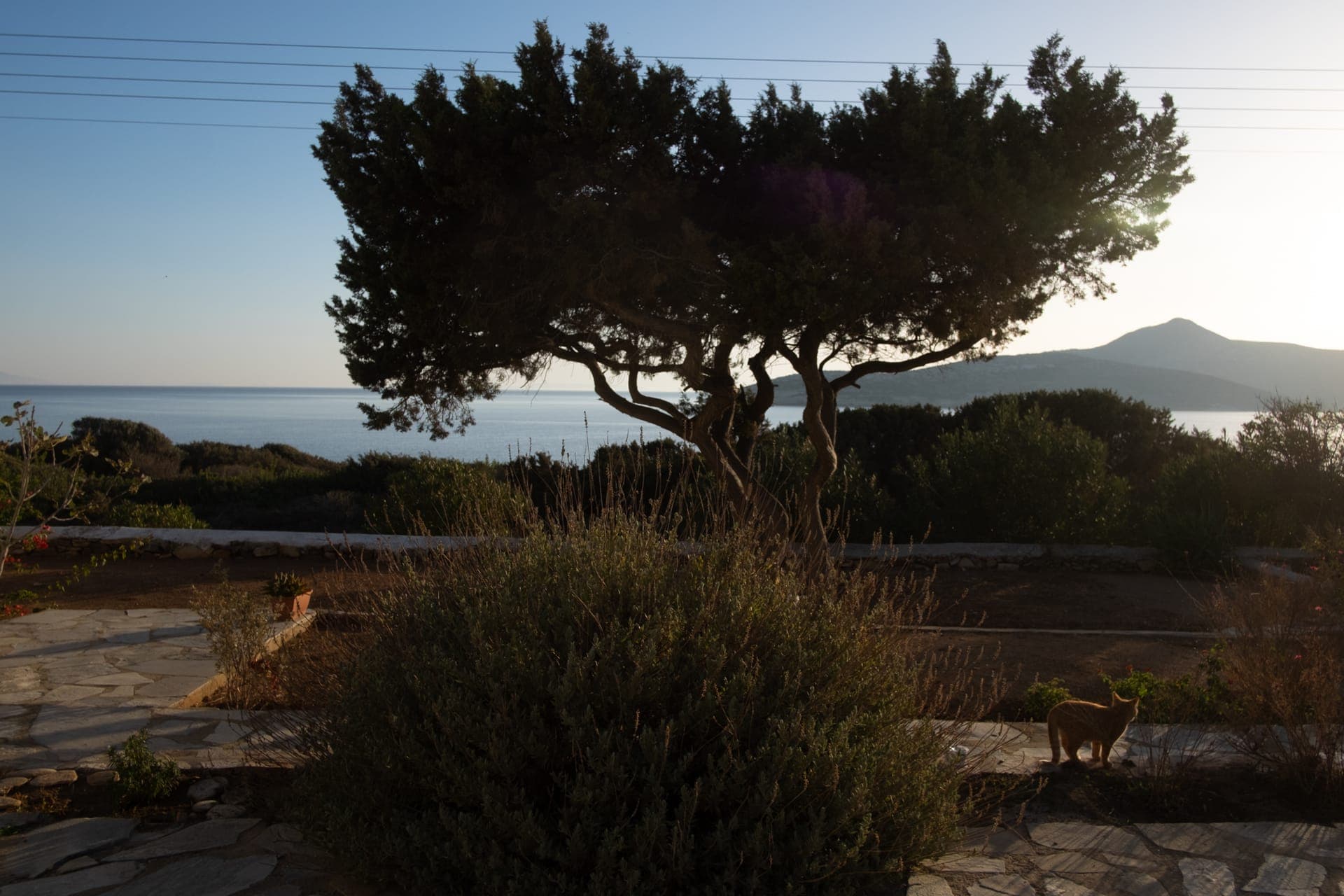 properties-OLIAROSSEA-3.jpg