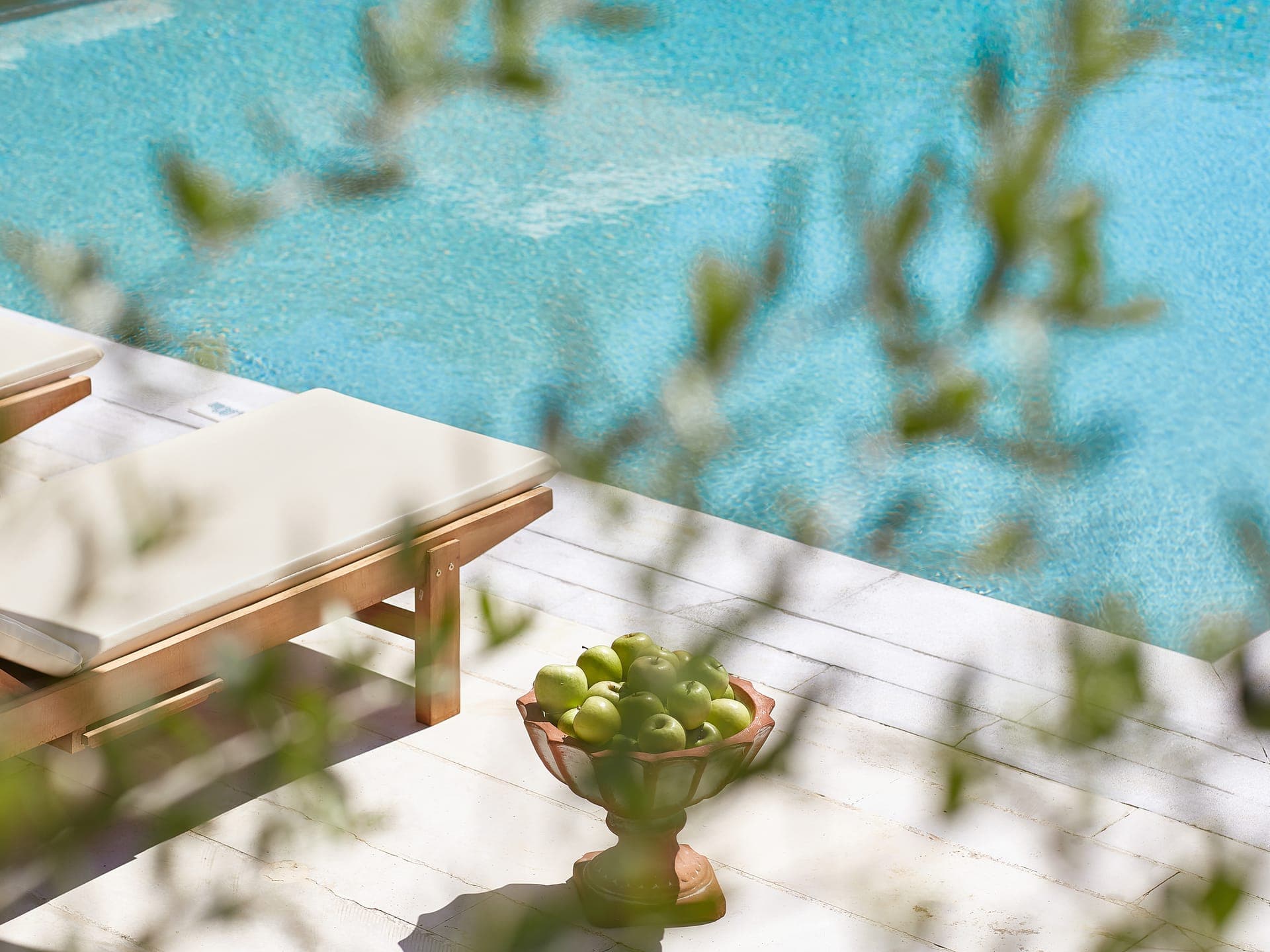 properties-OLIVA-2.jpg