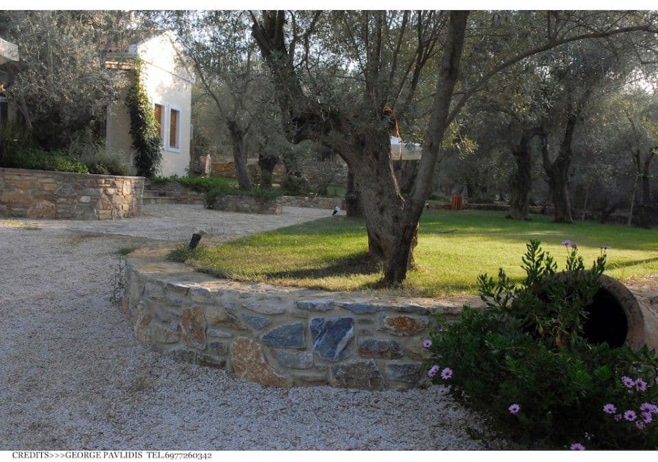 The garden of the estate