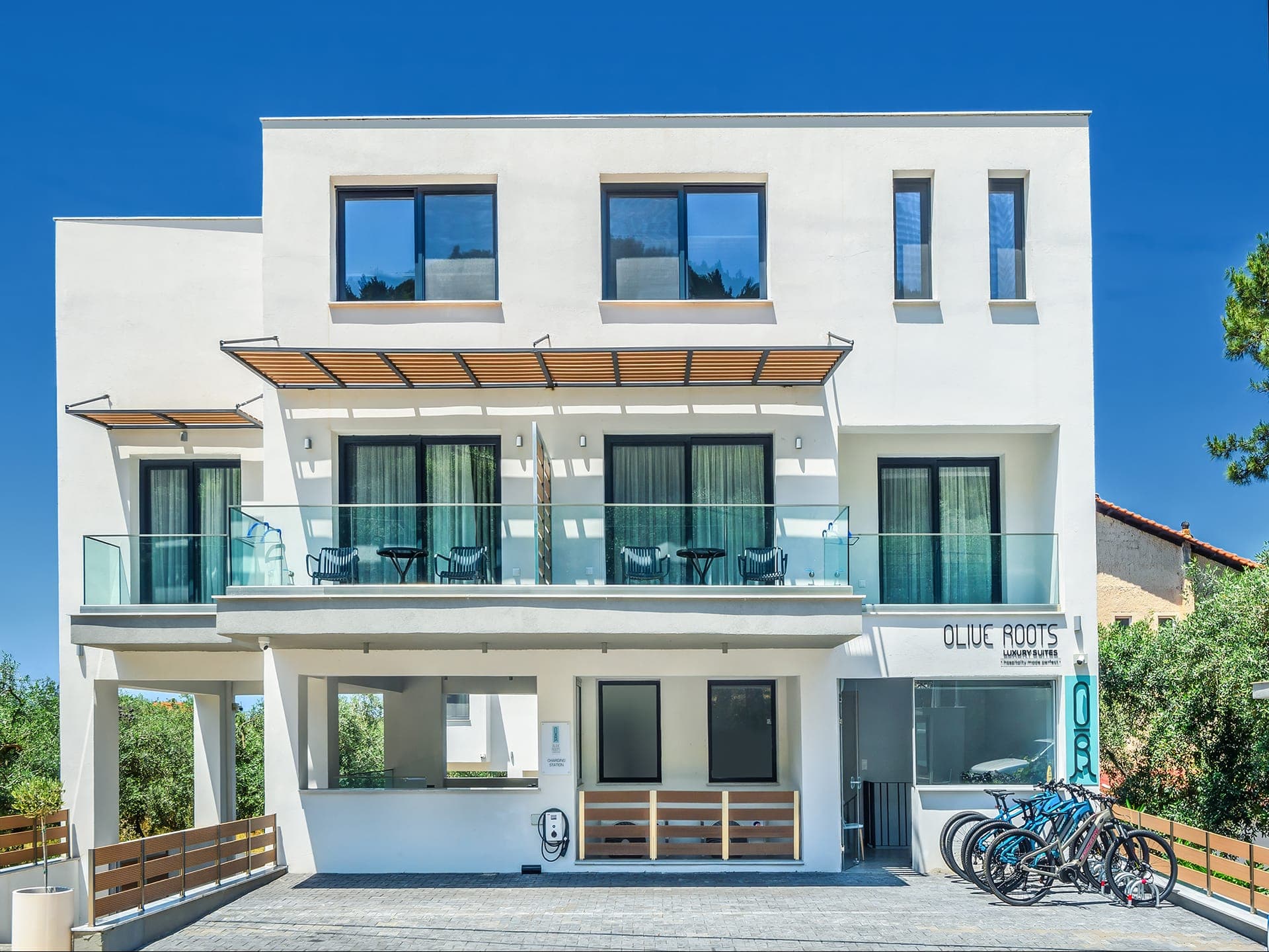 properties-OLIVEROOTS-0.jpg
