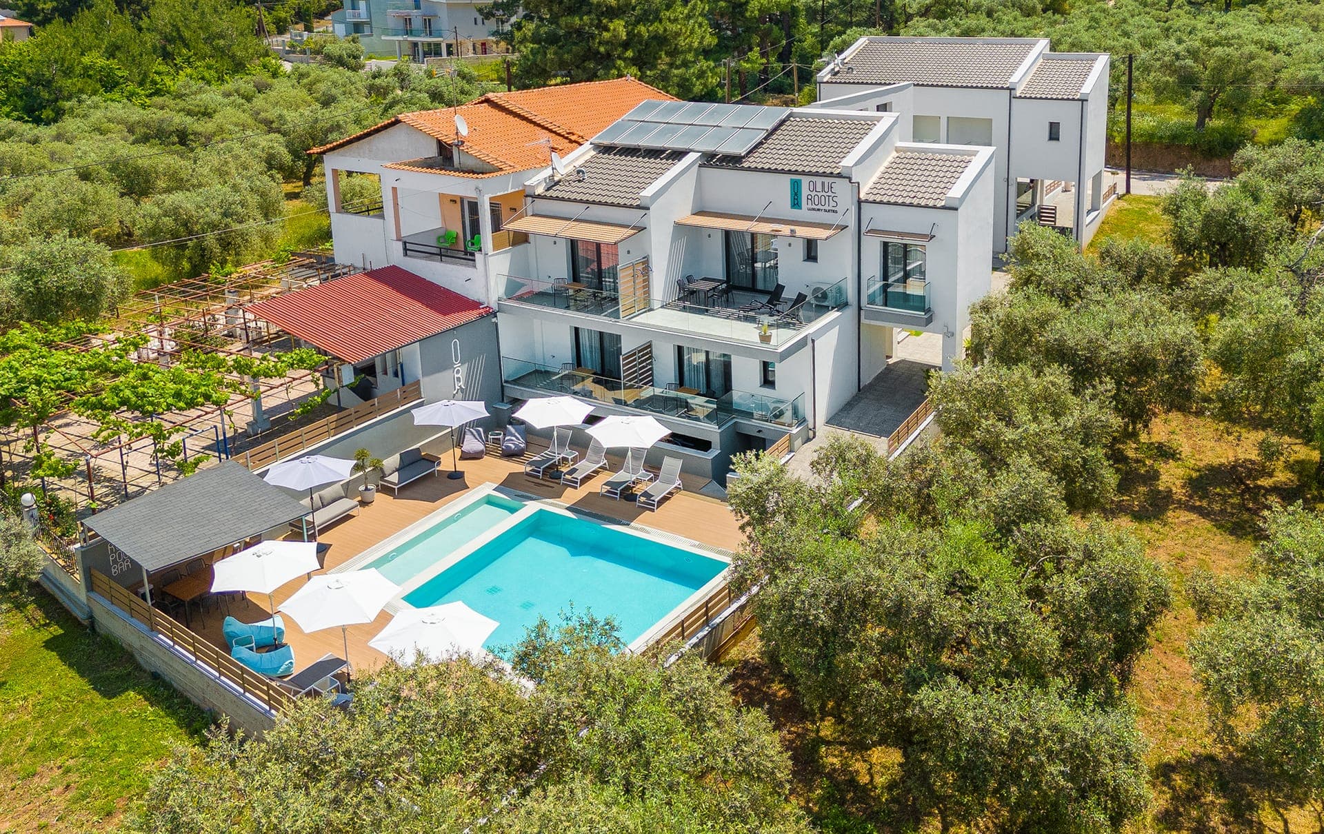 properties-OLIVEROOTS-4.jpg