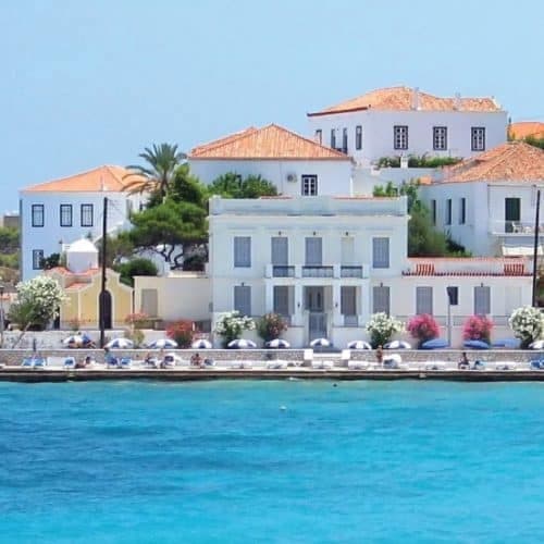 properties-OLIVESPETS-0.jpg