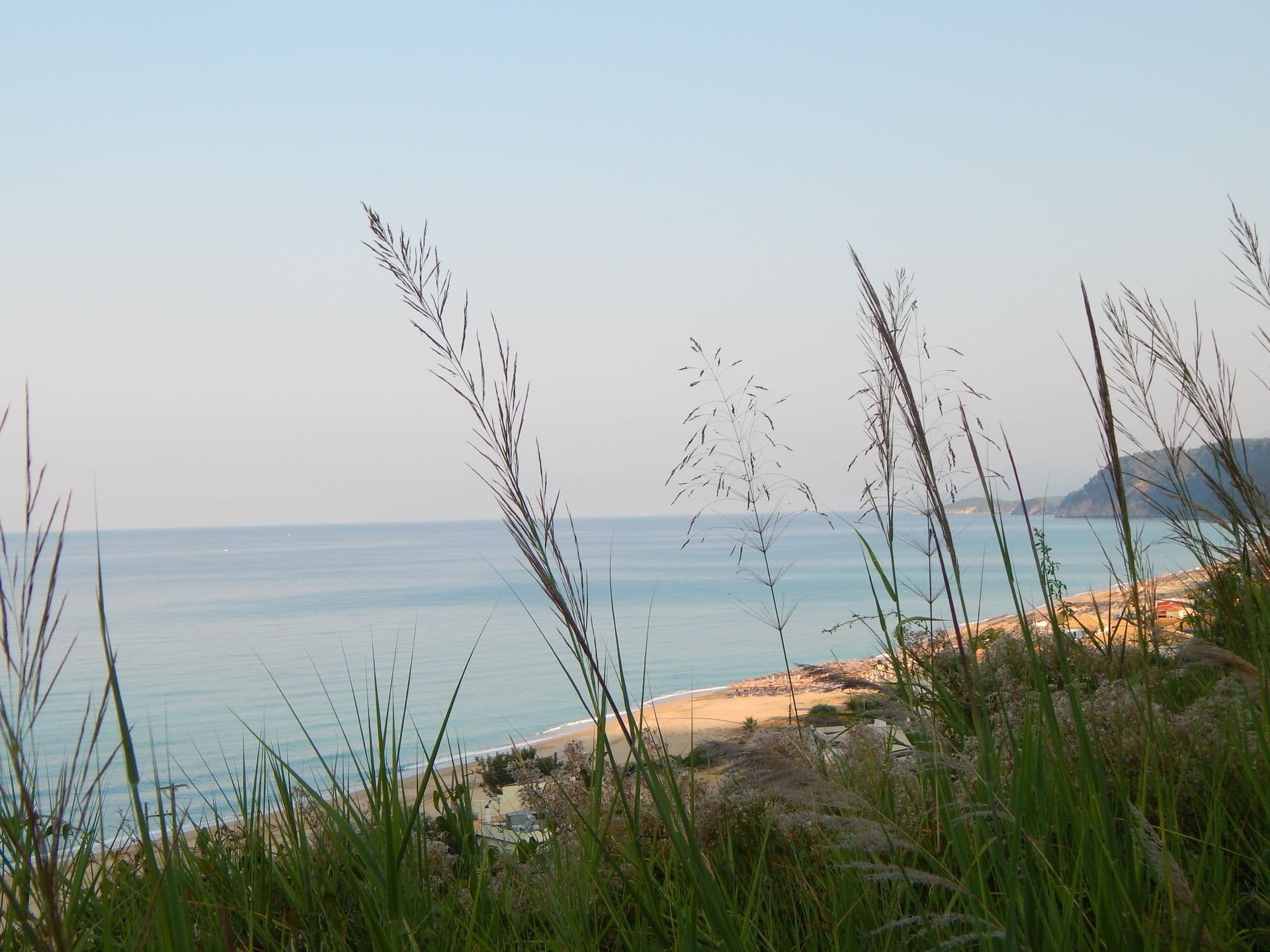 properties-PALMINA-2.jpg