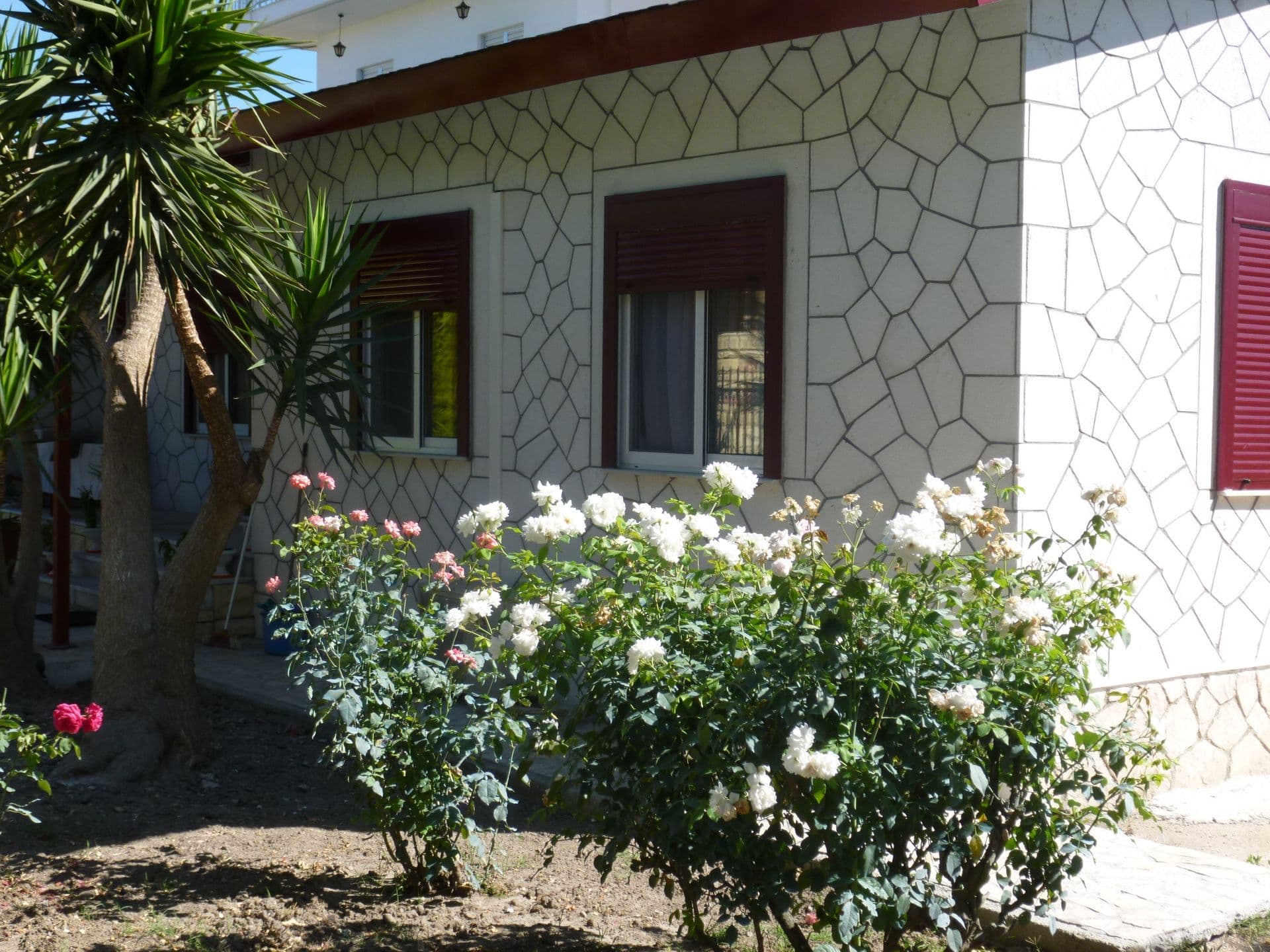 properties-PETTAS-2.jpg