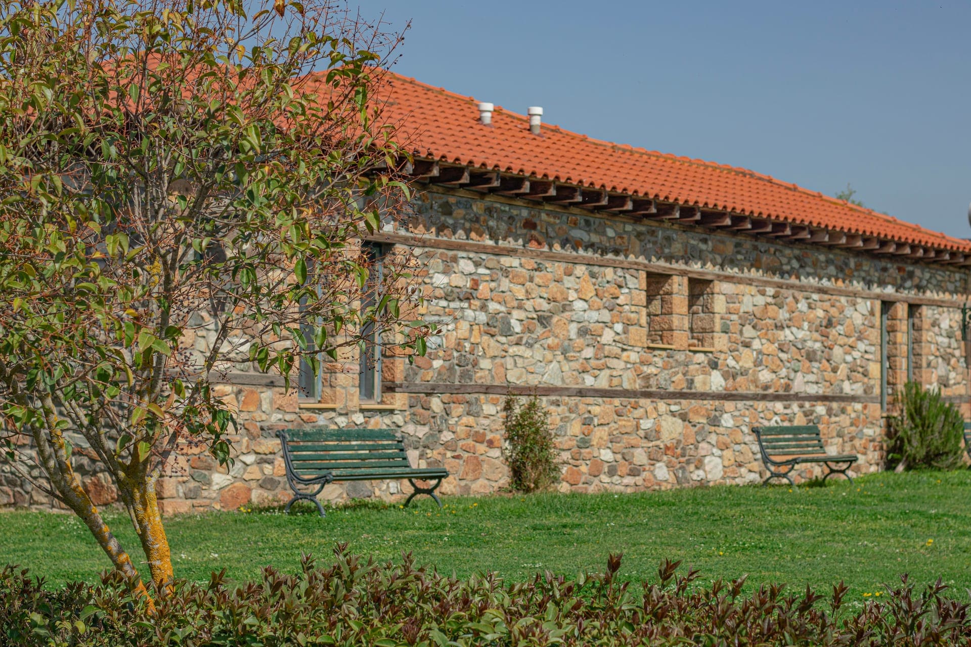 properties-PLATANOREM-0.jpg