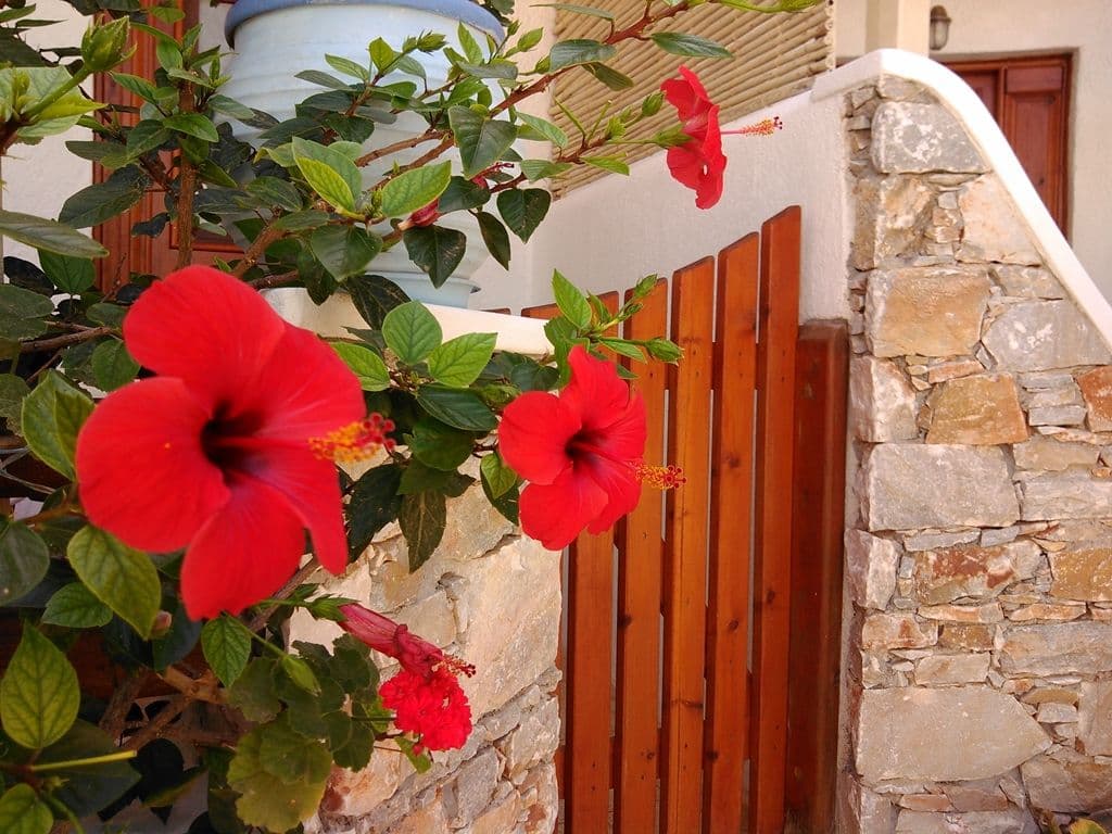 properties-POLIKANDIA-2.jpg