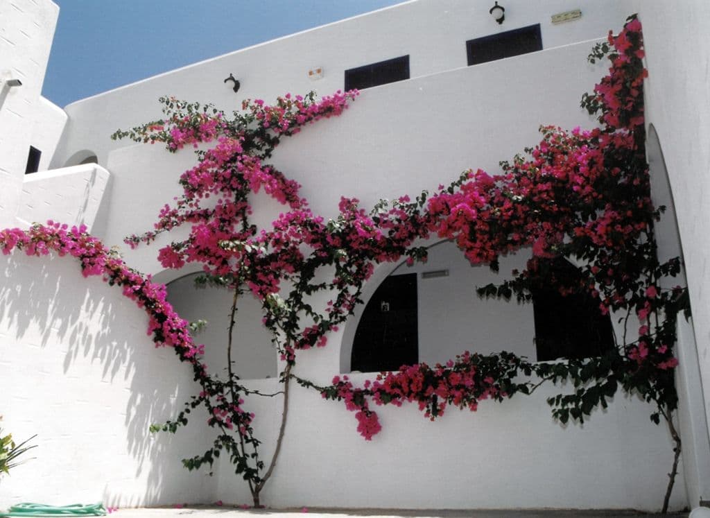 properties-SANTONIOSH-2.jpg