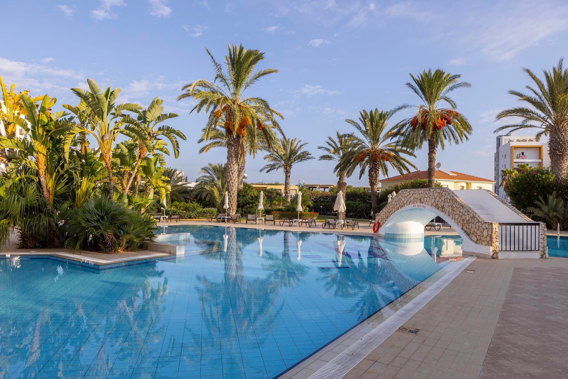 properties-SEAGULLAPA-2.jpg