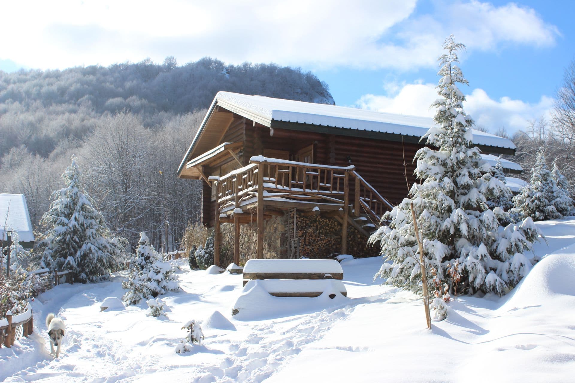 Sfendamos Wood Village is a mountain hotel with 7 individual Chalet Wooden Houses with private fireplaces and a main Chalet with a Restaurant and Bar. Its situated 1.5 klm from the 3-5 Pigadia Ski Resort in a wonderful natural setting.