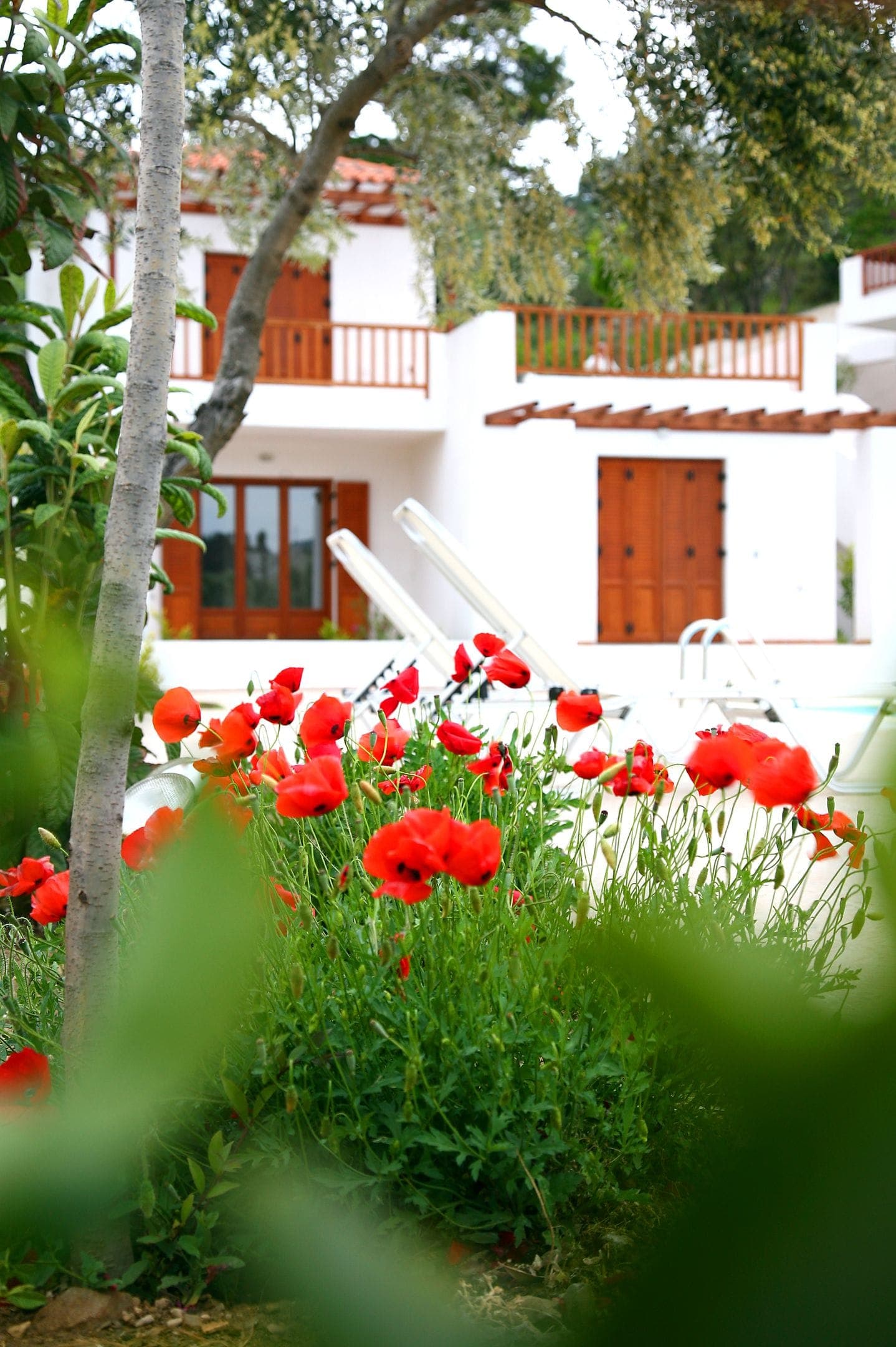 properties-SKOPHOMES-2.jpg