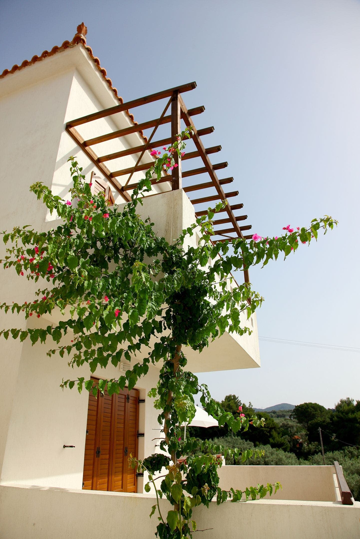 properties-SKOPHOMES-4.jpg