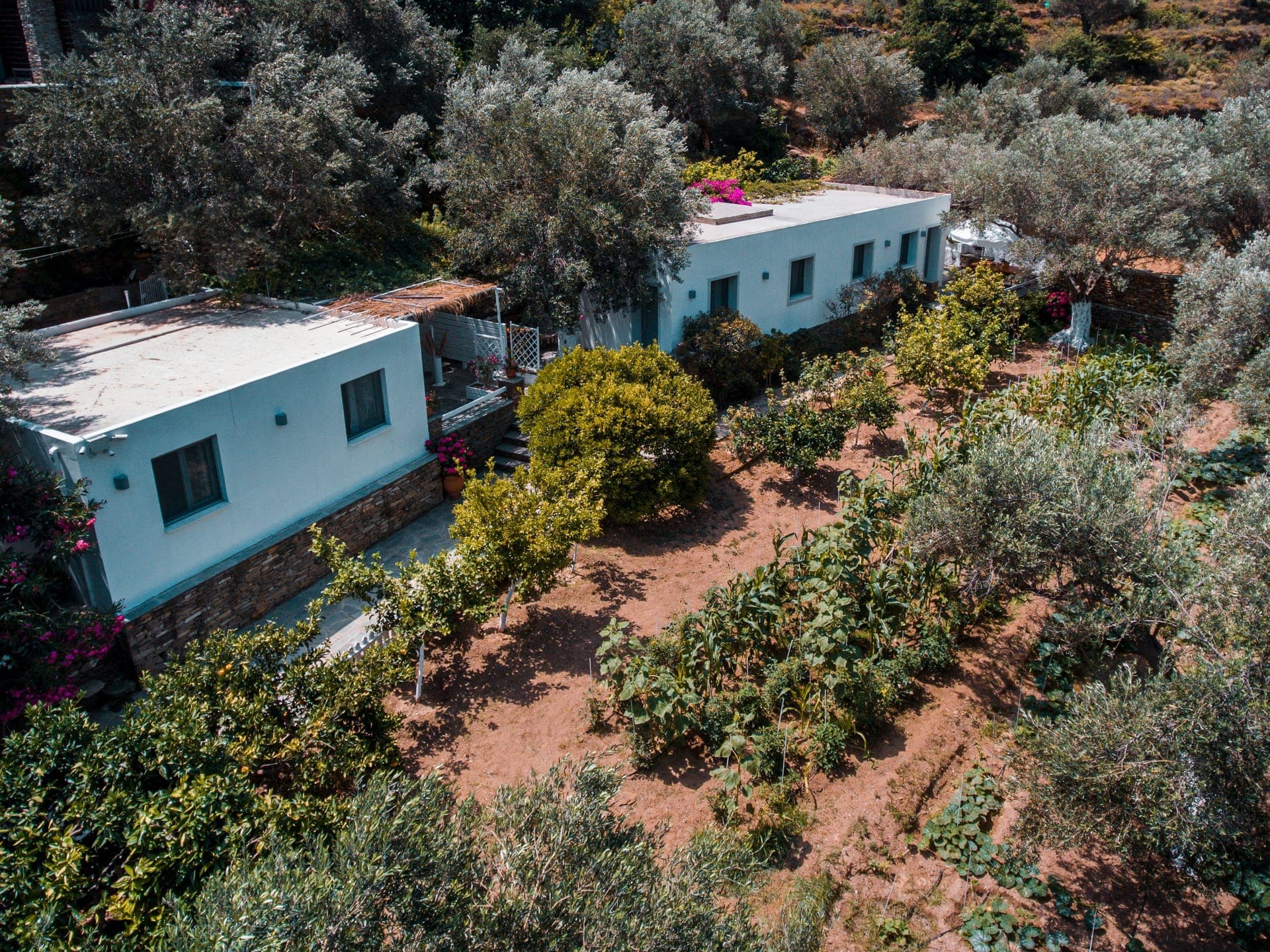 properties-SMALLPARAD-0.jpg