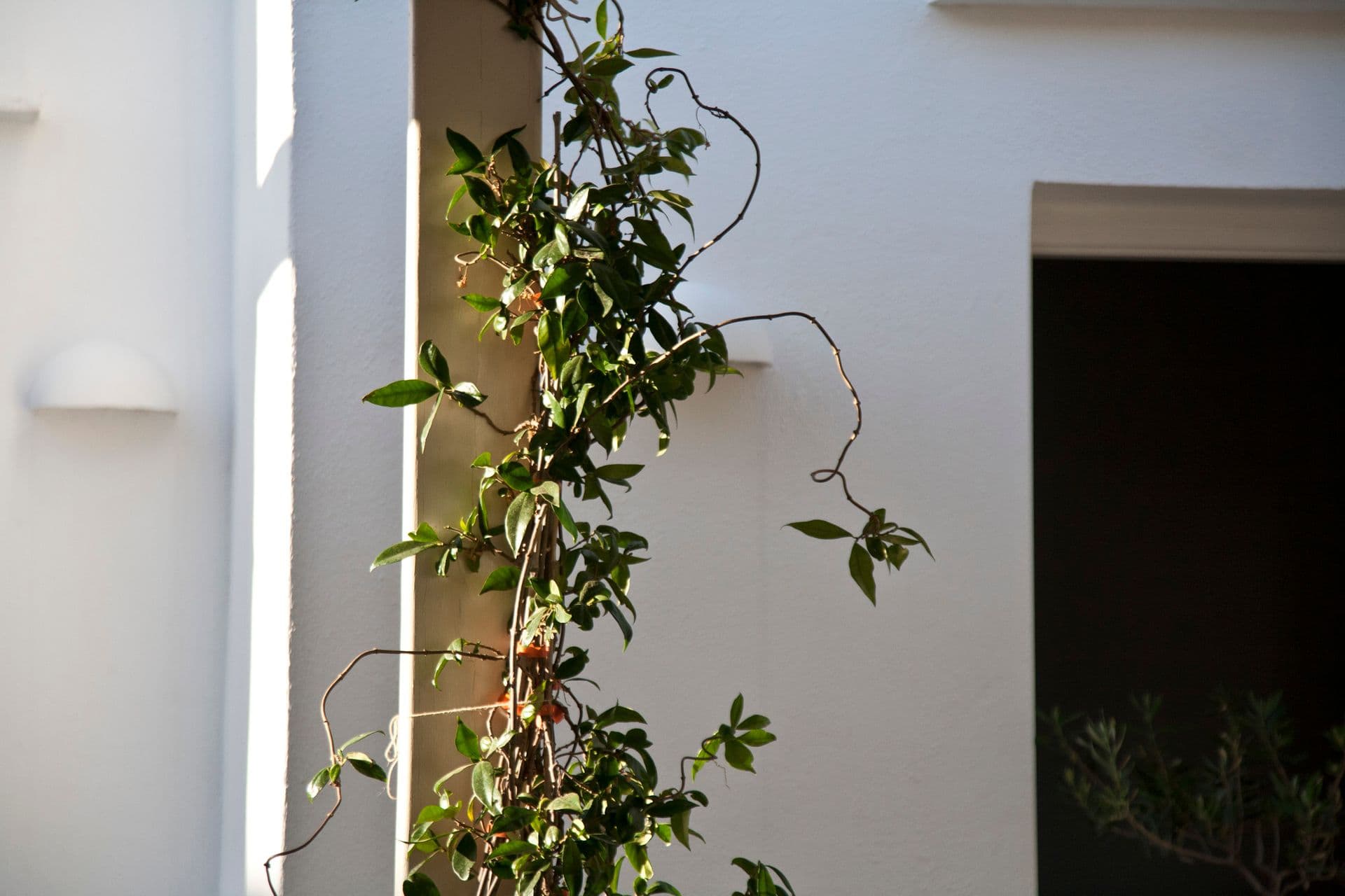 properties-SMARAGDISI-3.jpg
