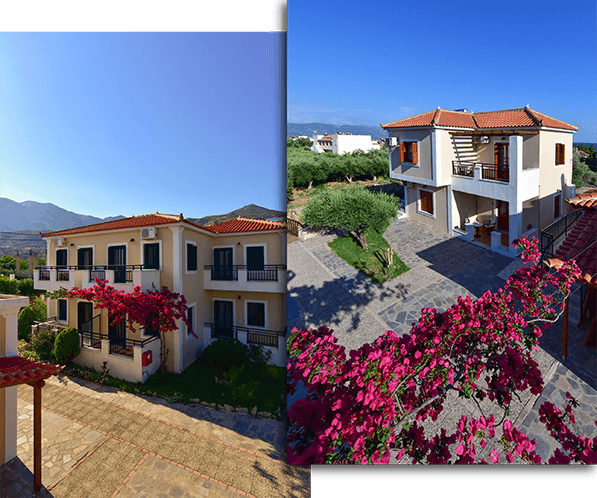 properties-SONICE-0.jpg