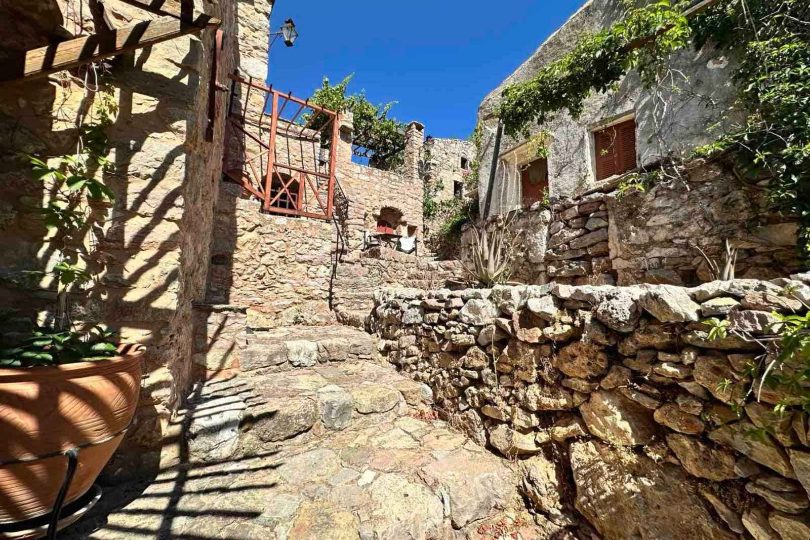 properties-SPILIATRAD-0.jpg