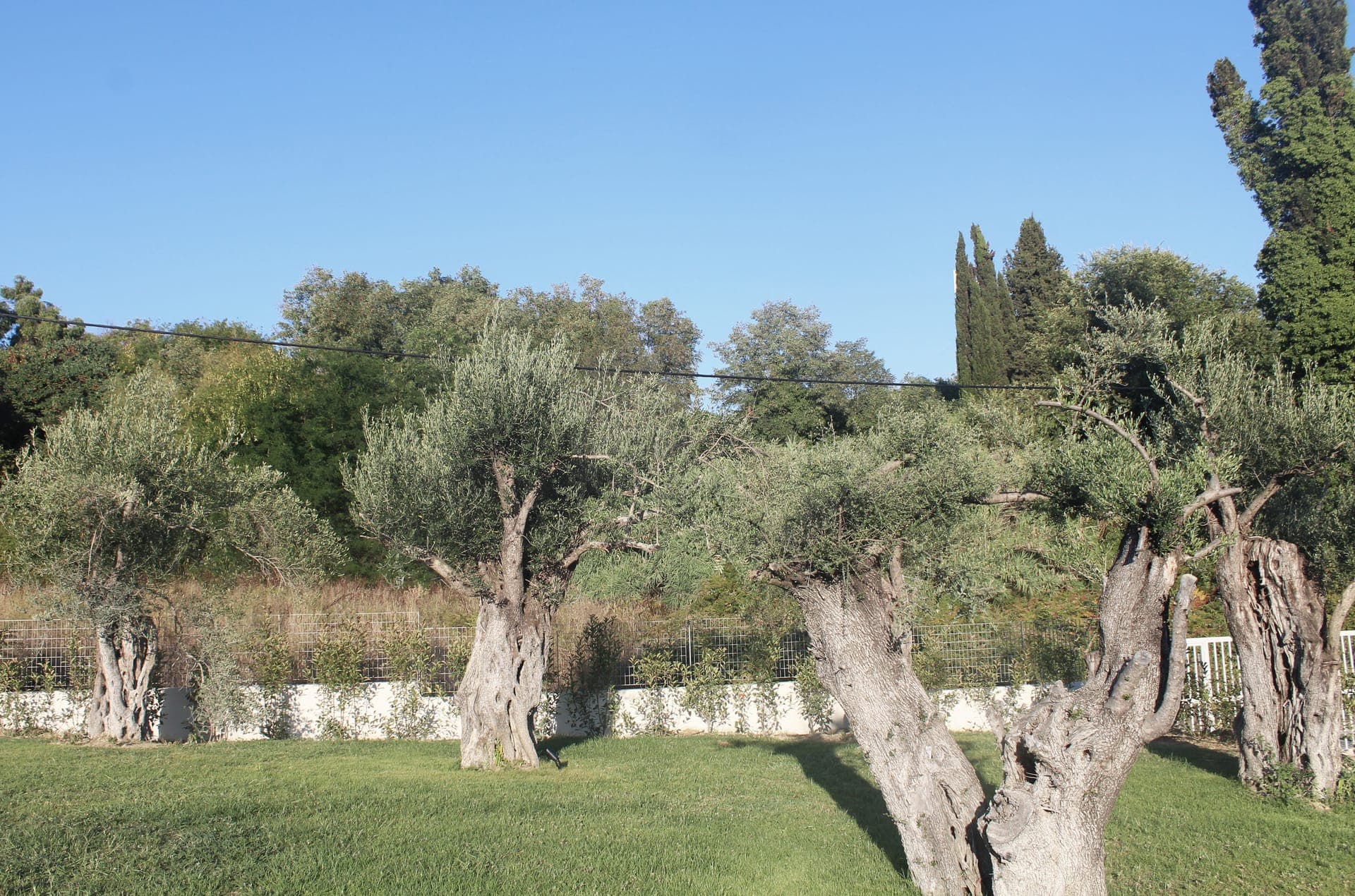 properties-STABLO-0.jpg