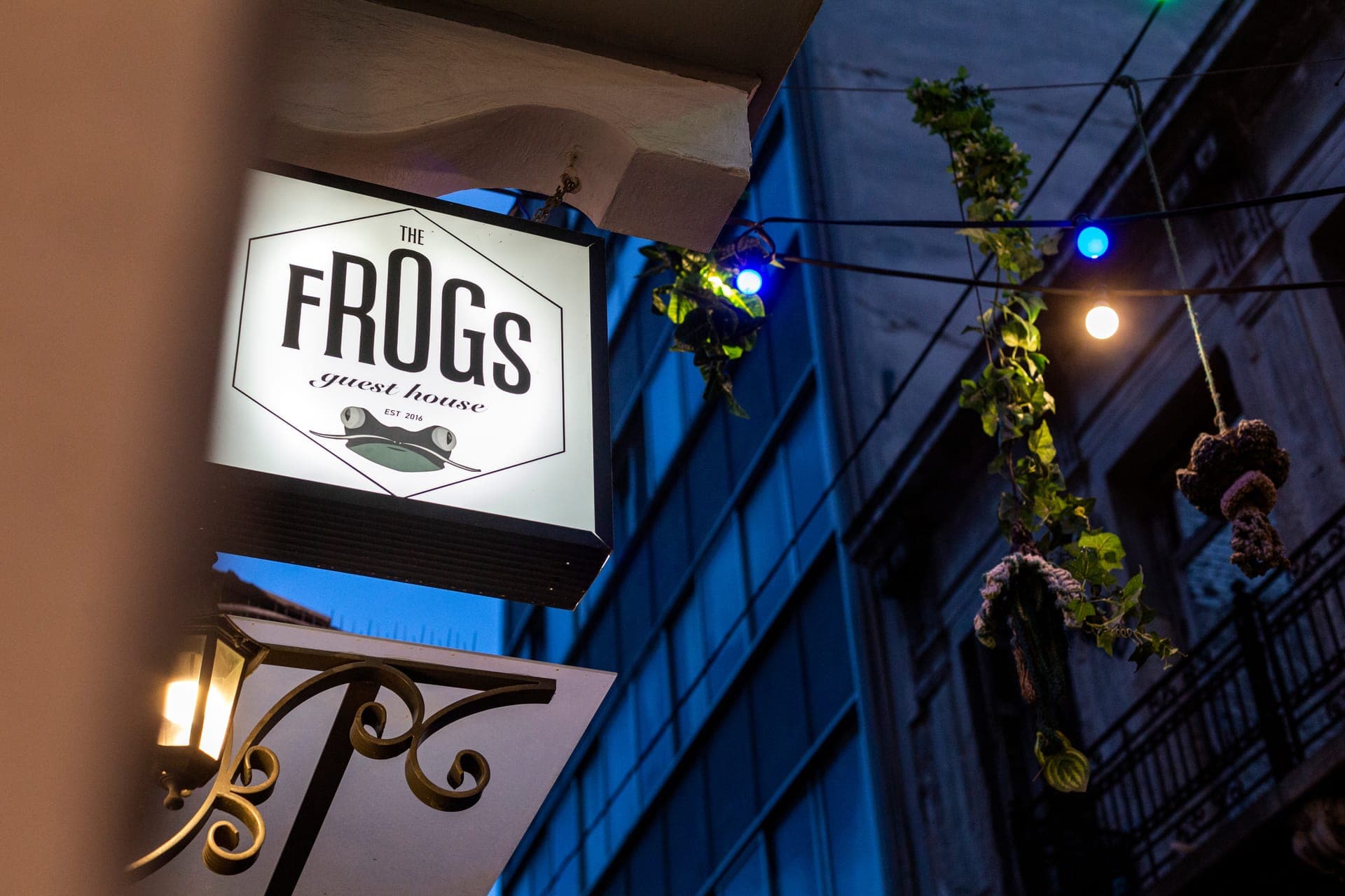 properties-THEFROGS-0.jpg
