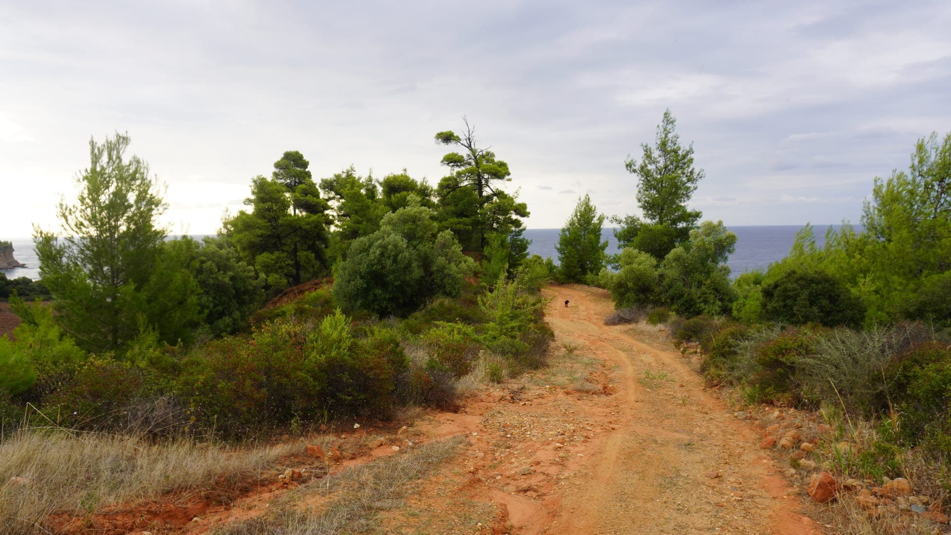 properties-VILLA3PKAS-5.jpg