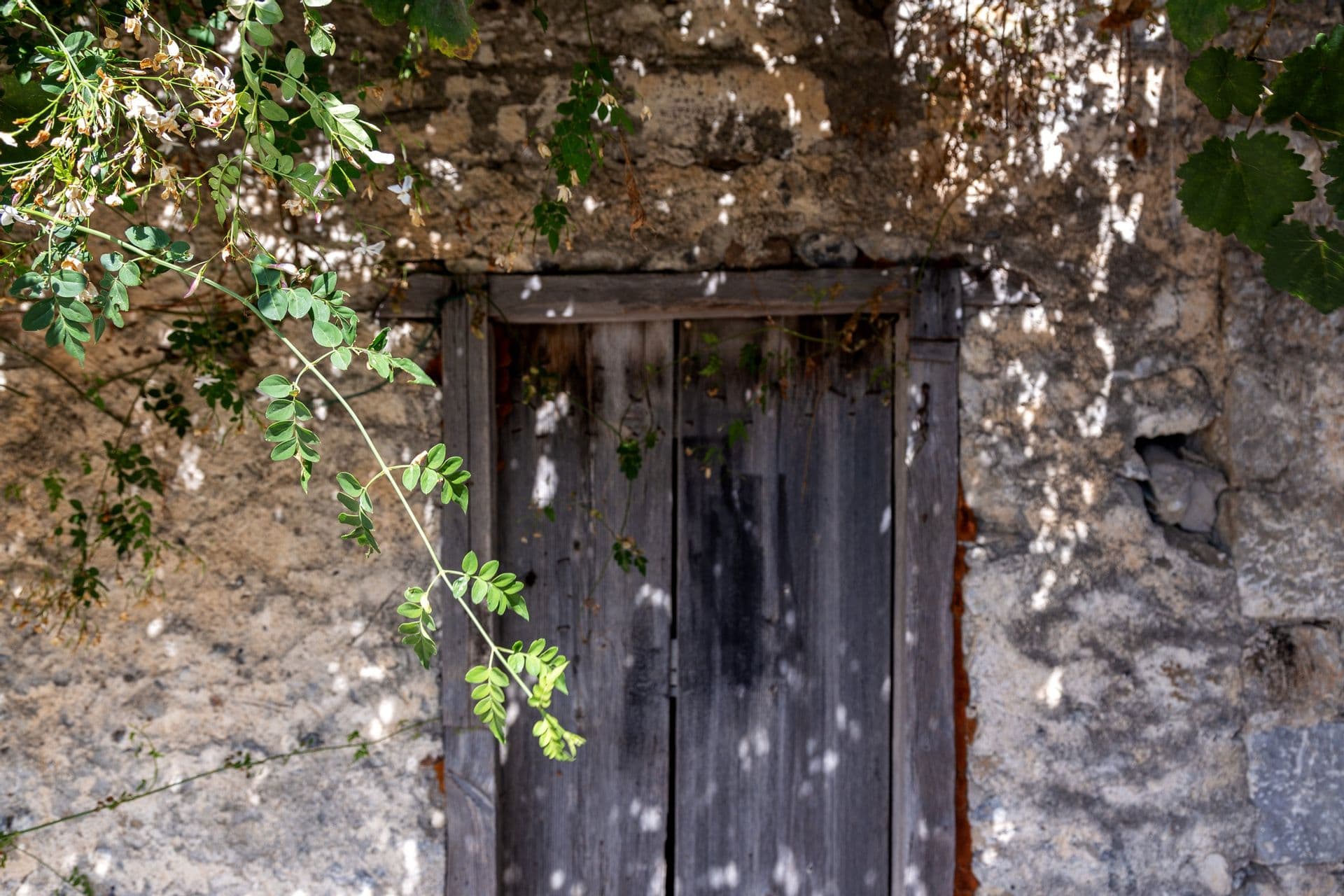 properties-VILLAMALA-1.jpg