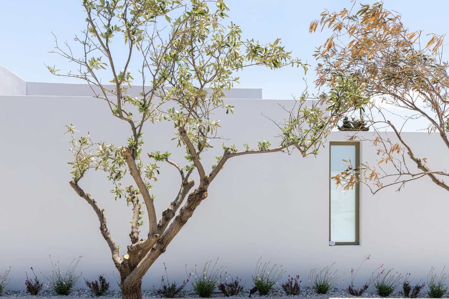 properties-WHITEHOLID-1.jpg