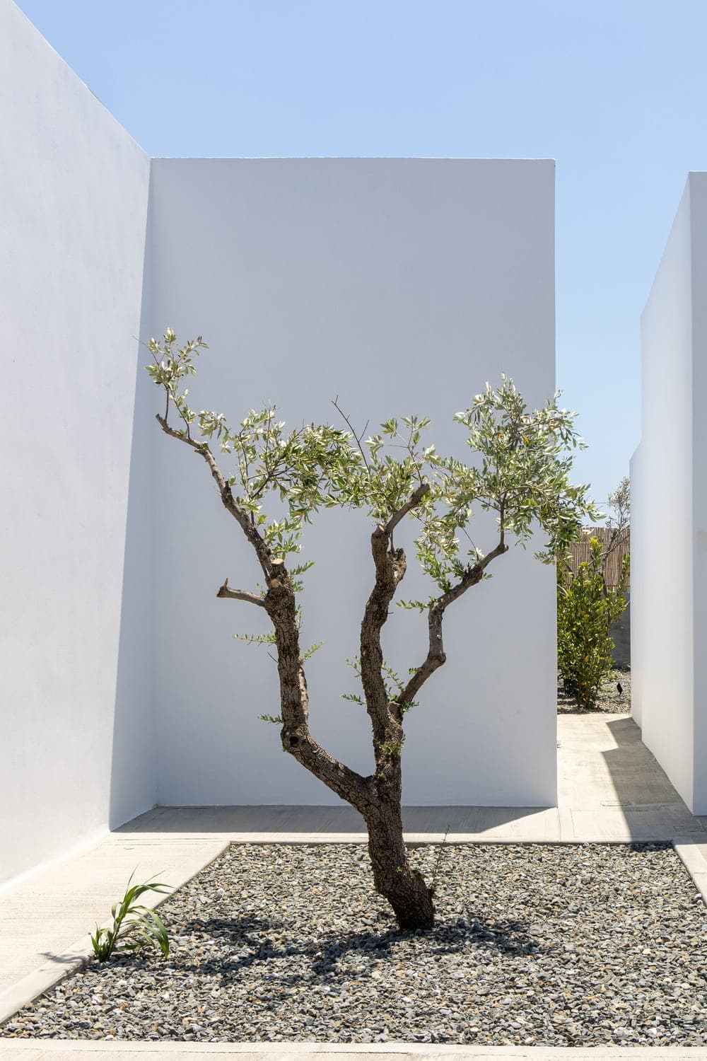 properties-WHITEHOLID-2.jpg
