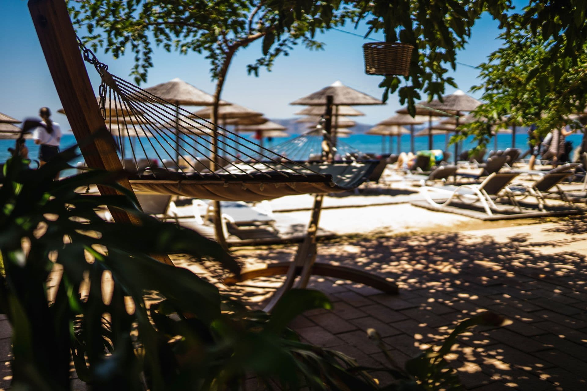 properties-ZOERESORT-3.jpg