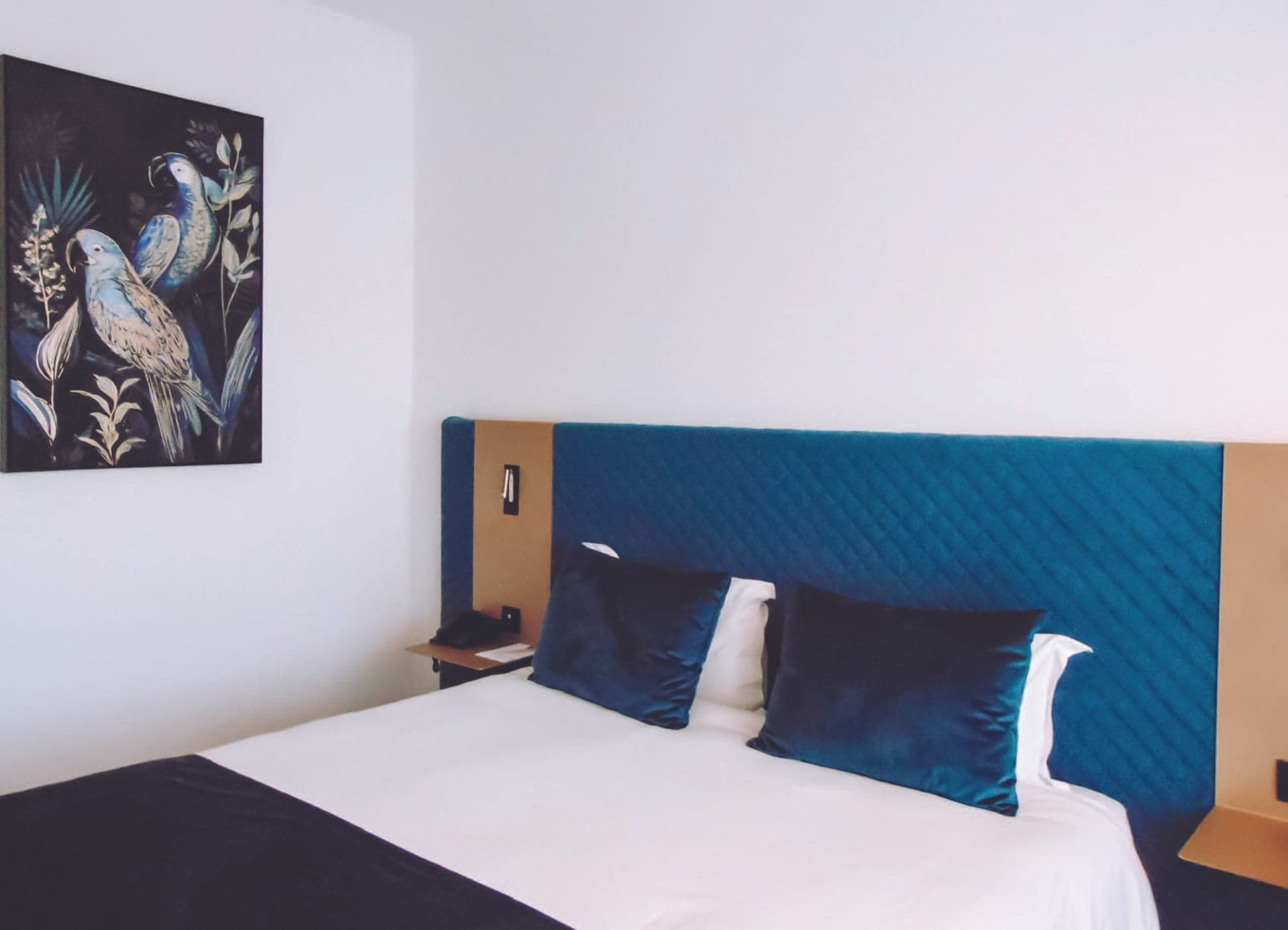 room-types-AJAXHOTEL-SUPR-0.jpg