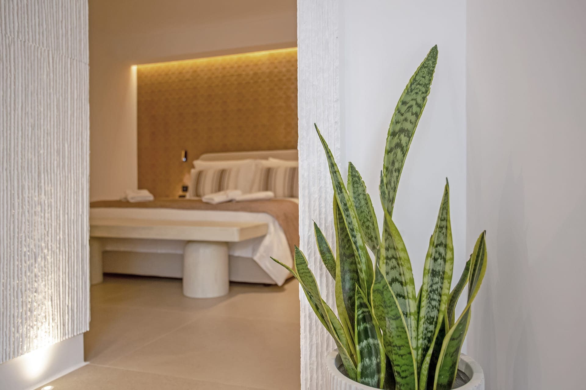 room-types-CALMA-GVS-0.jpg