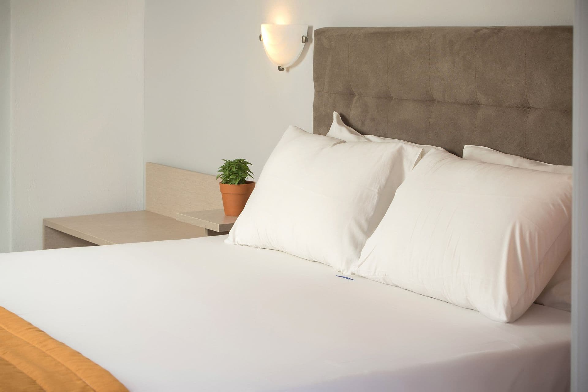 room-types-CORALBLUE-SINGLE-0.jpg