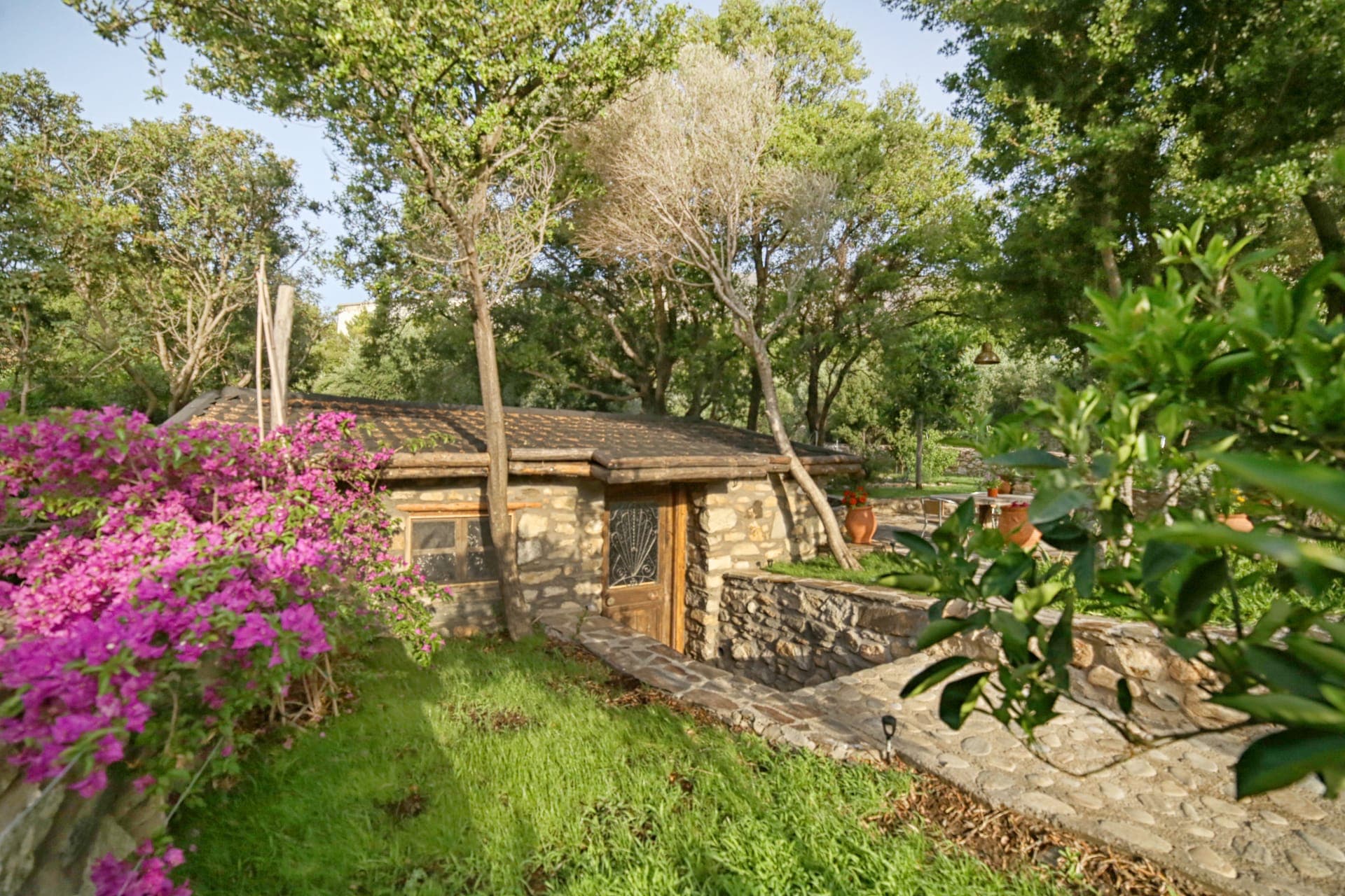 Property building, Natural landscape, Garden