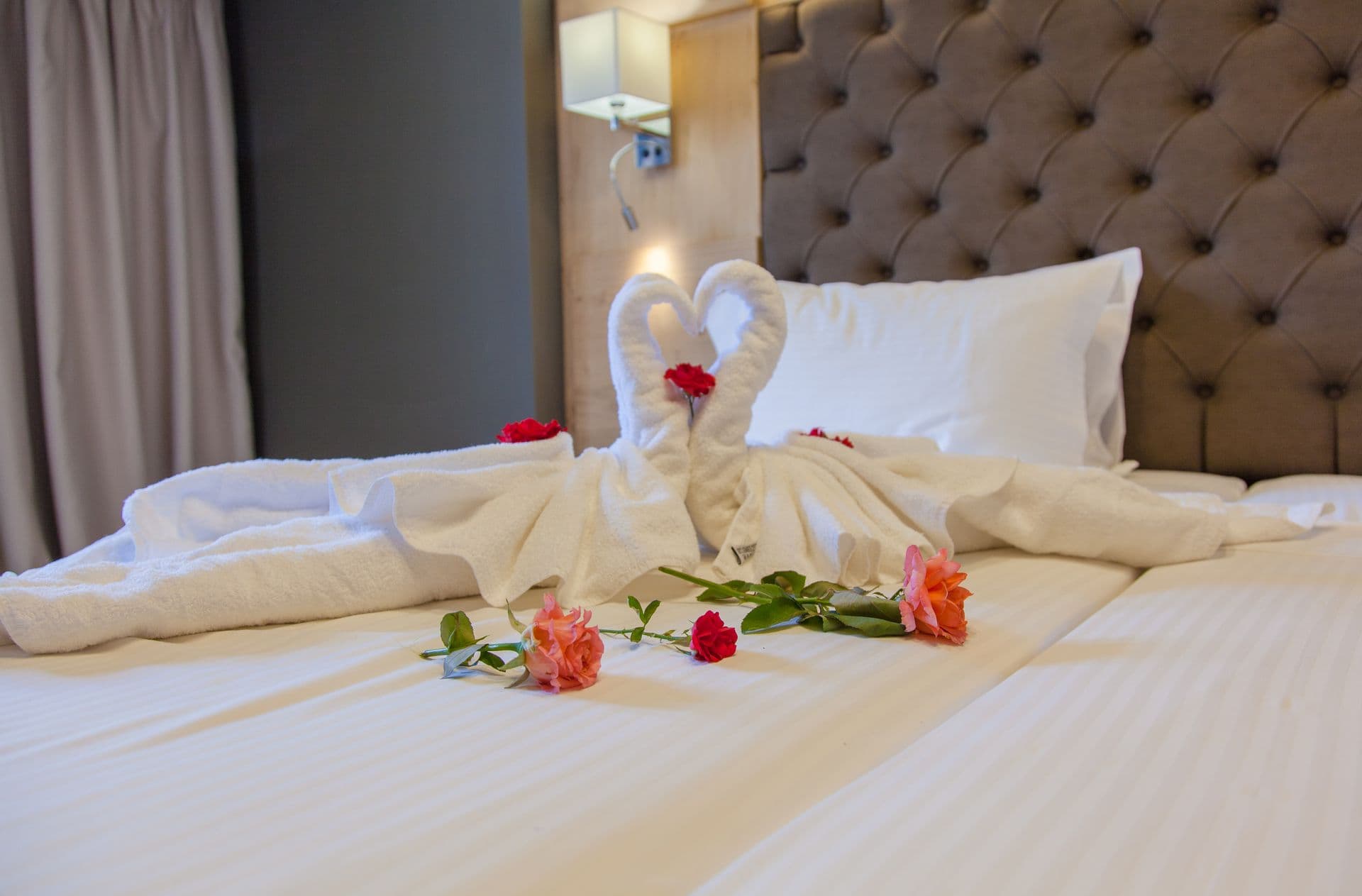 room-types-ELMISUITES-Suite-0.jpg