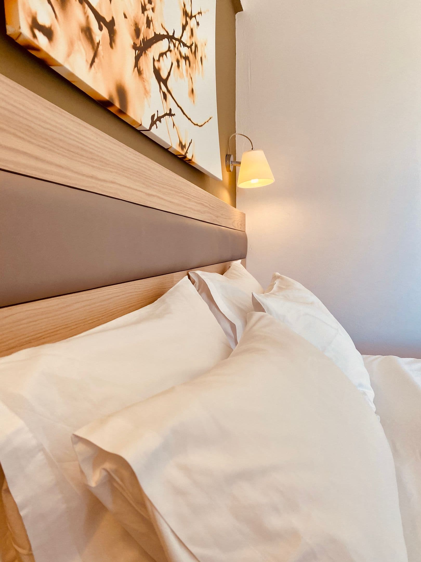 room-types-GEORGEHTL-STDROO-0.jpg