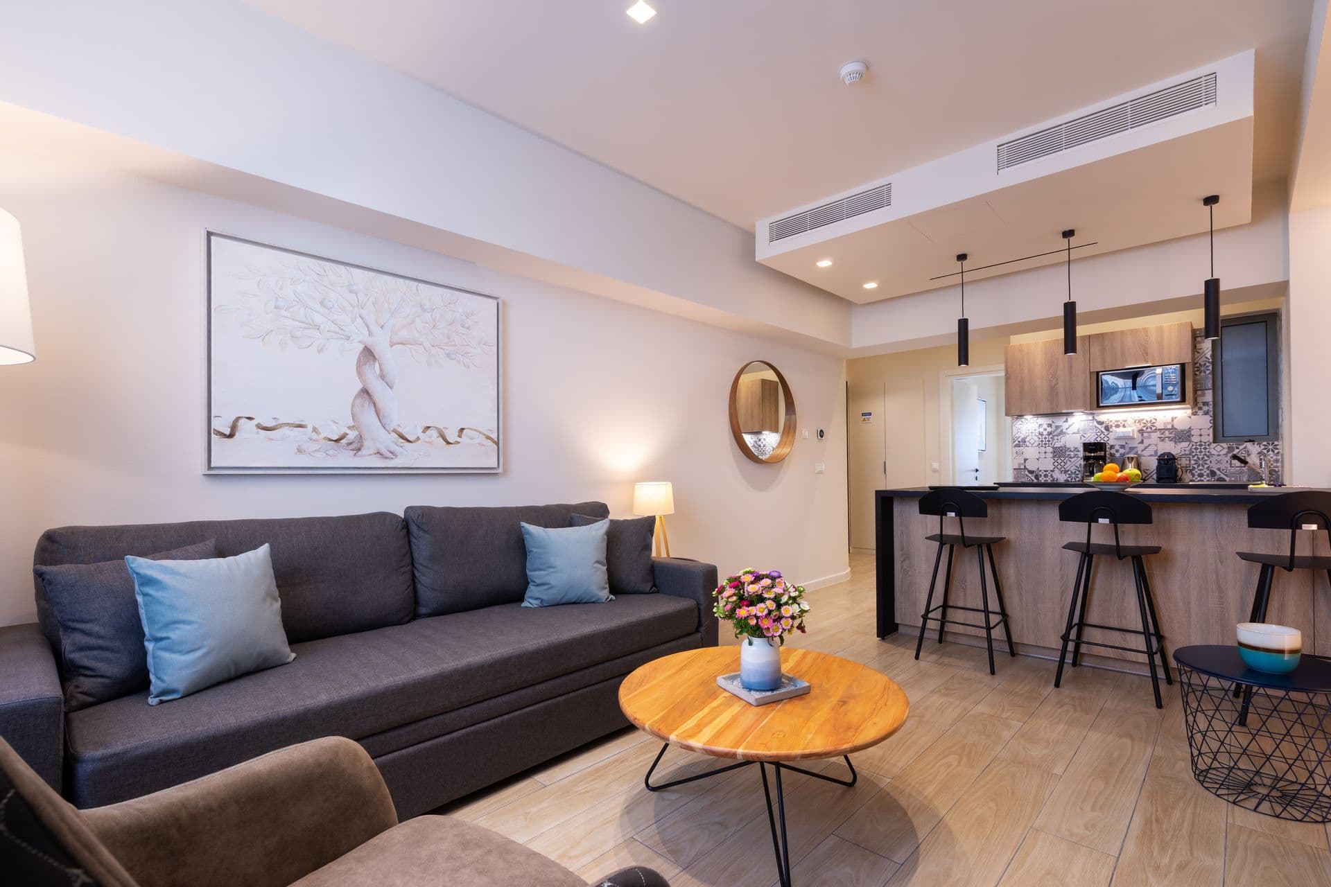 room-types-HESTIAROMV-DLXAPT-0.jpg