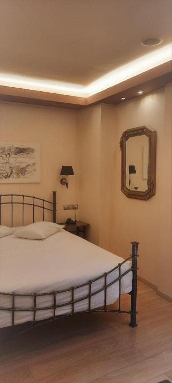 room-types-OLYMPICFAS-SINGLE-0.jpg