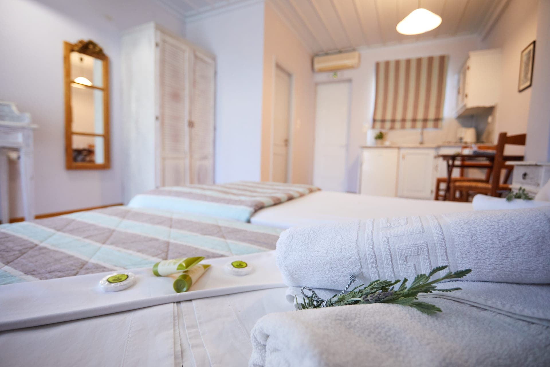 room-types-ZORBASCHIO-SSTD-0.jpg
